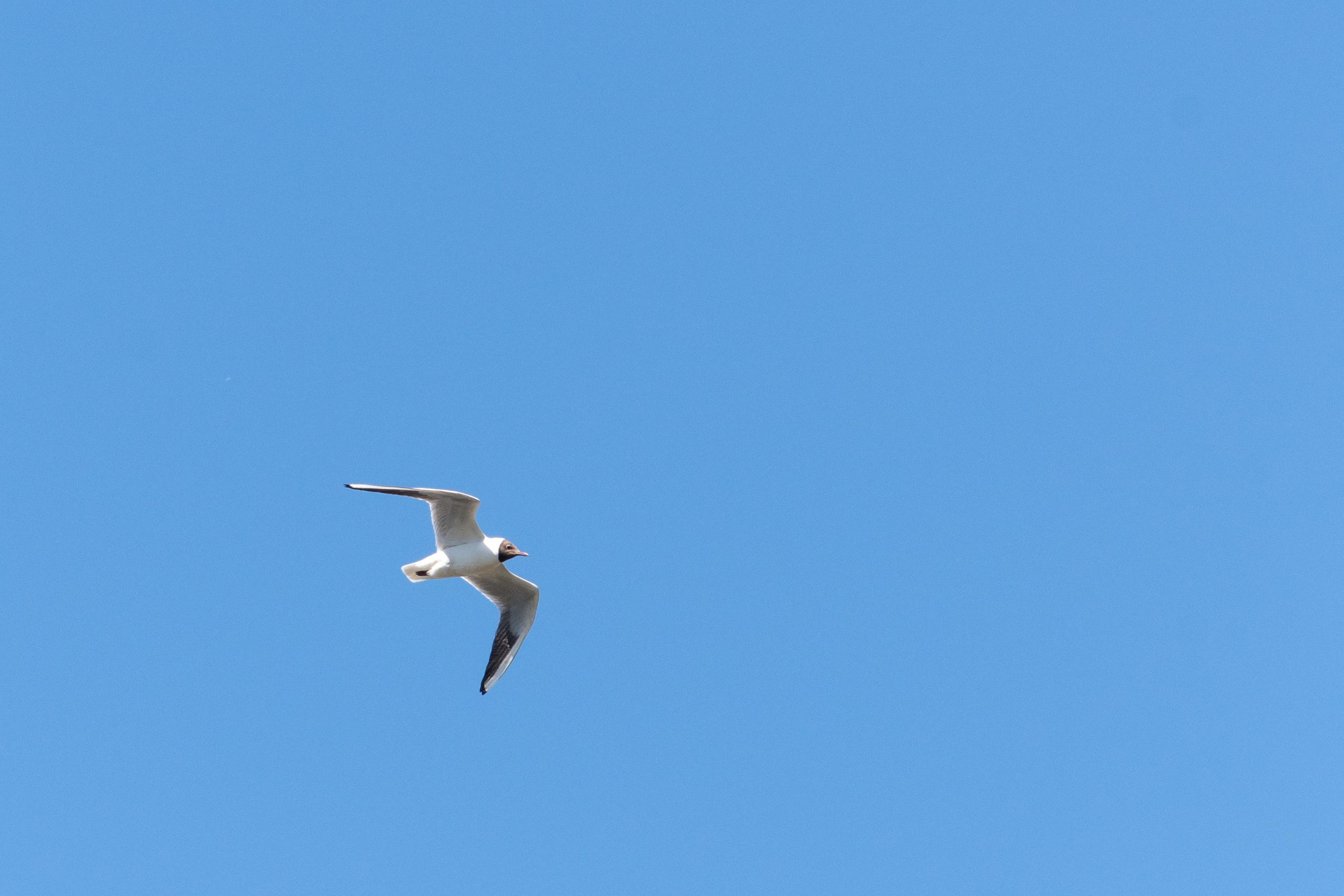 20210525_City. Дмитрий Ремизов. Фотография, как хобби