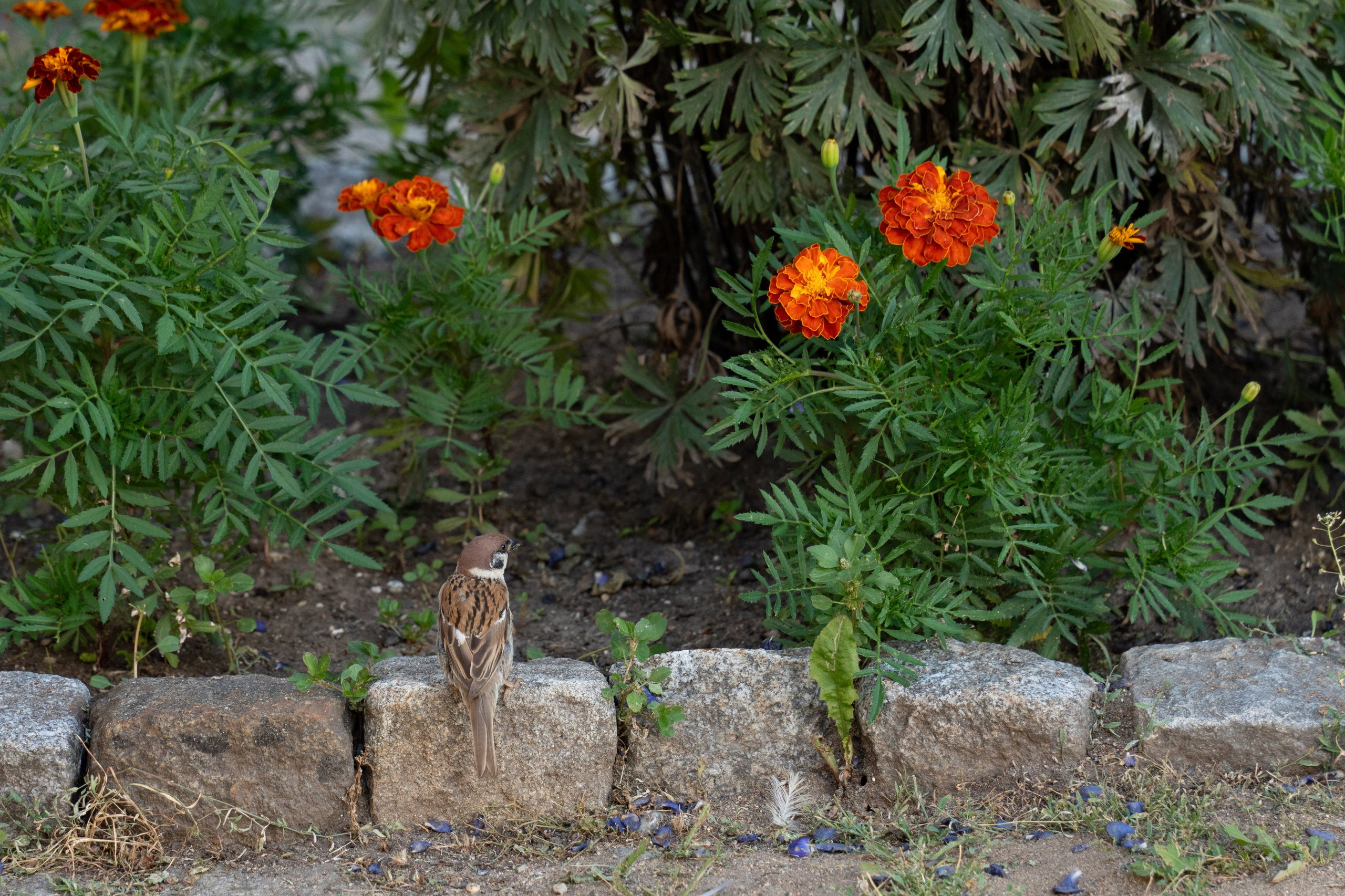 20250729-30 Ростов. Дмитрий Ремизов. Фотография, как хобби
