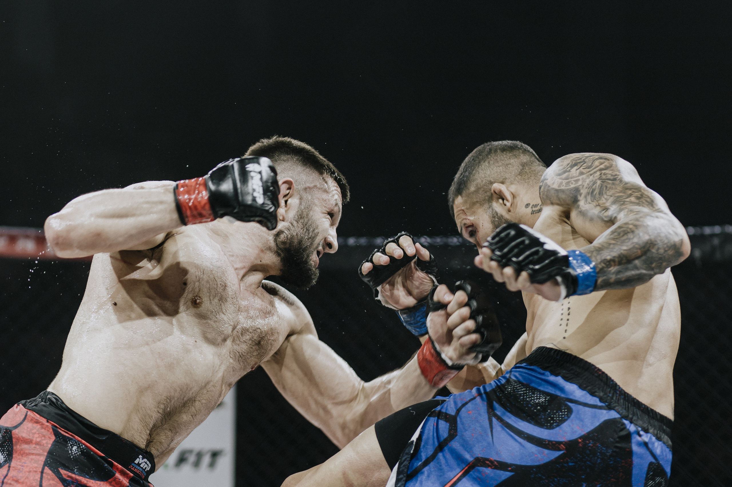 MFP246 МАКСИМ БУТОРИН VS МАРСИО БРЕНО. Фотограф Иркутск Антипин Сергей