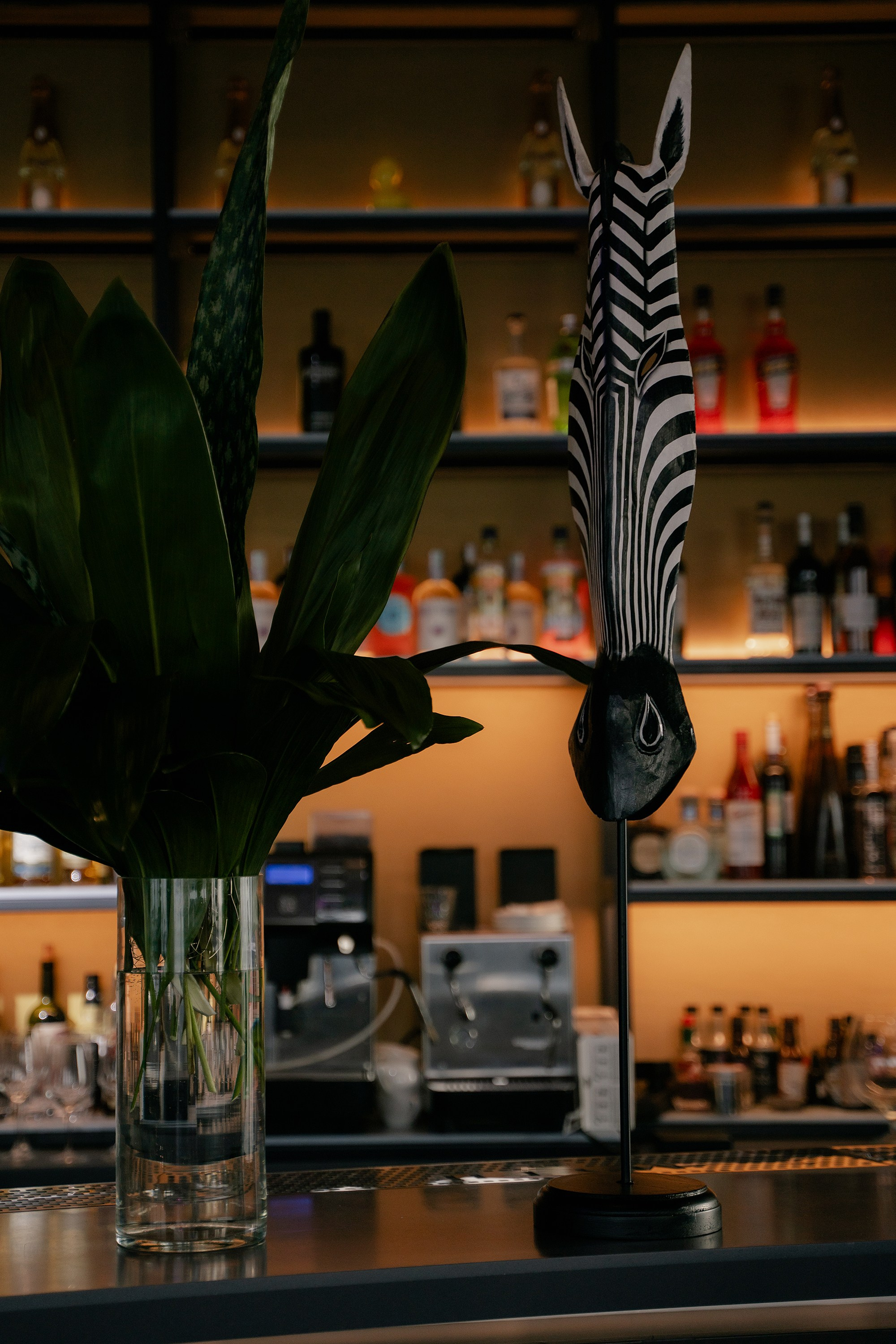 ДР Настя. Фотограф на мероприятие