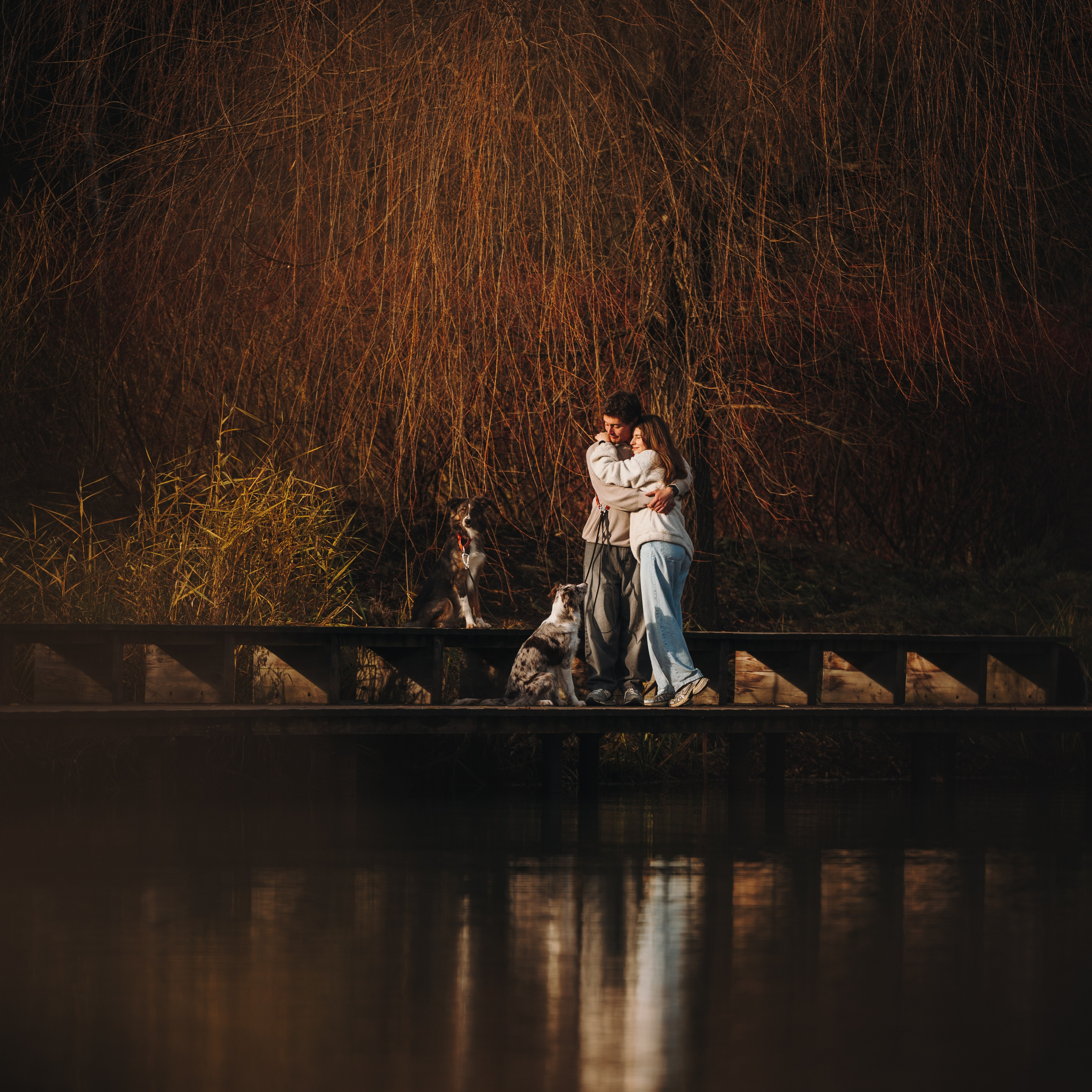 Настя, Максим, Орео и Норд. Семейный фотограф анималист Ананьева Мария — Москва