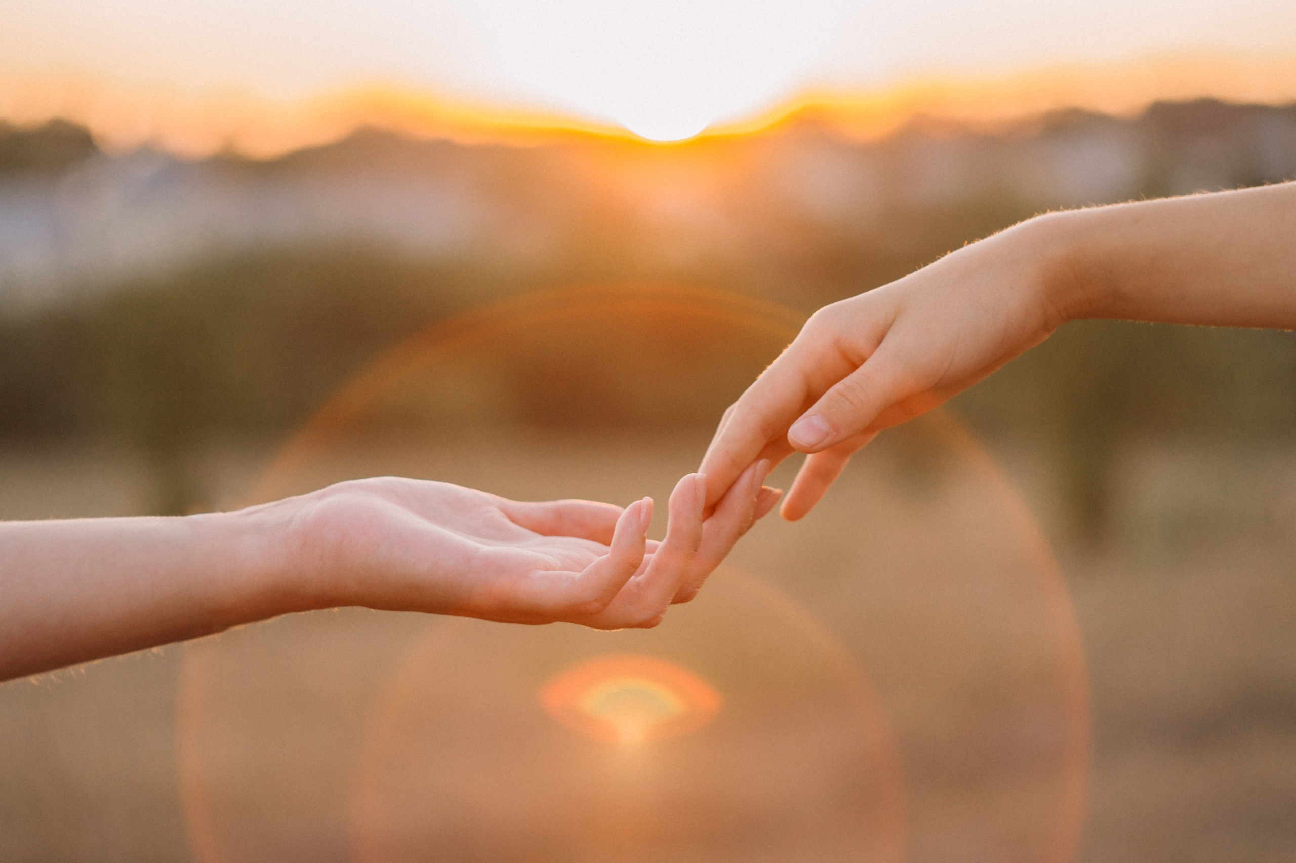 На закате. Фотограф Людмила Белова