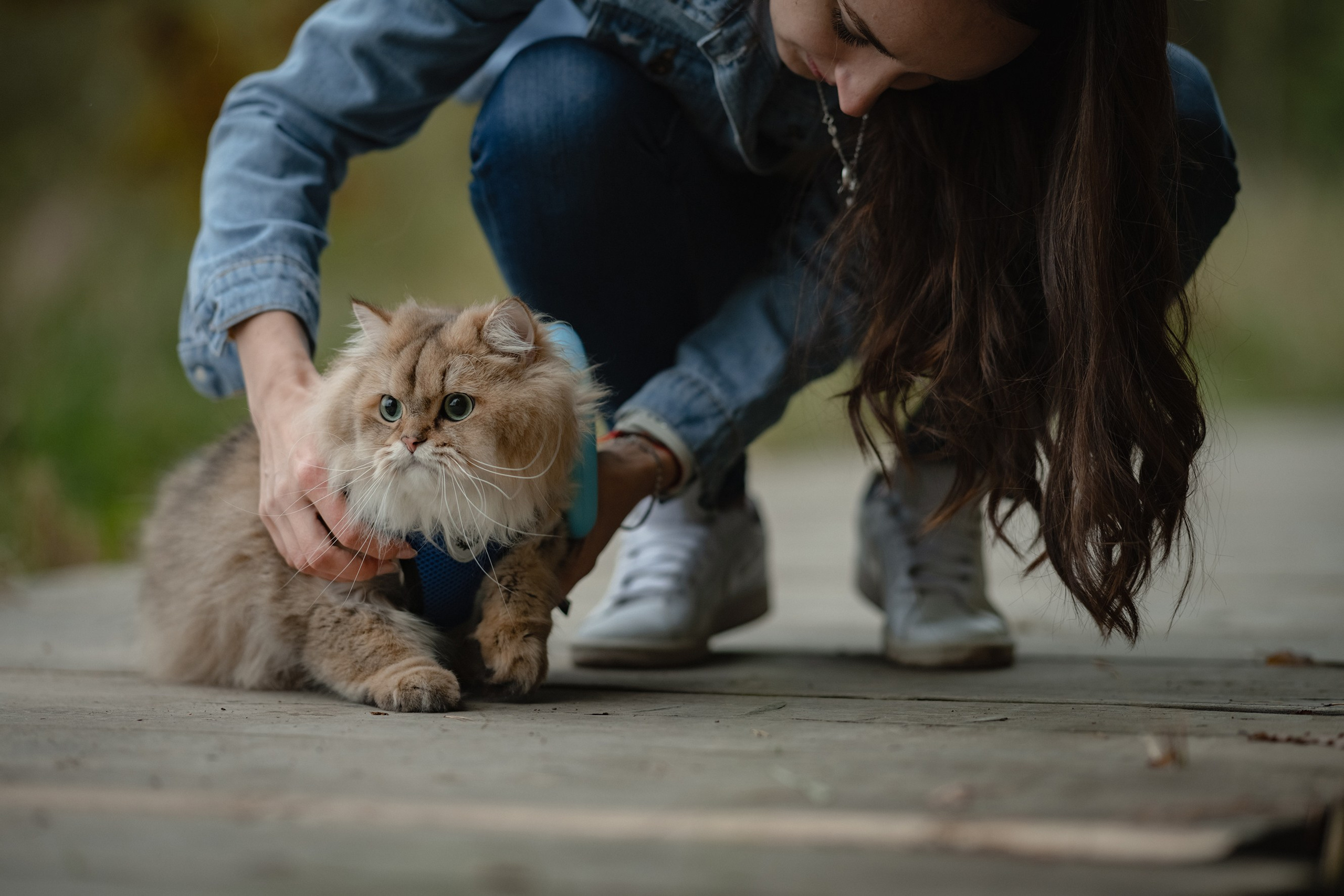Мещерский парк. Семейный фотограф и анималист в Москве и Московской области