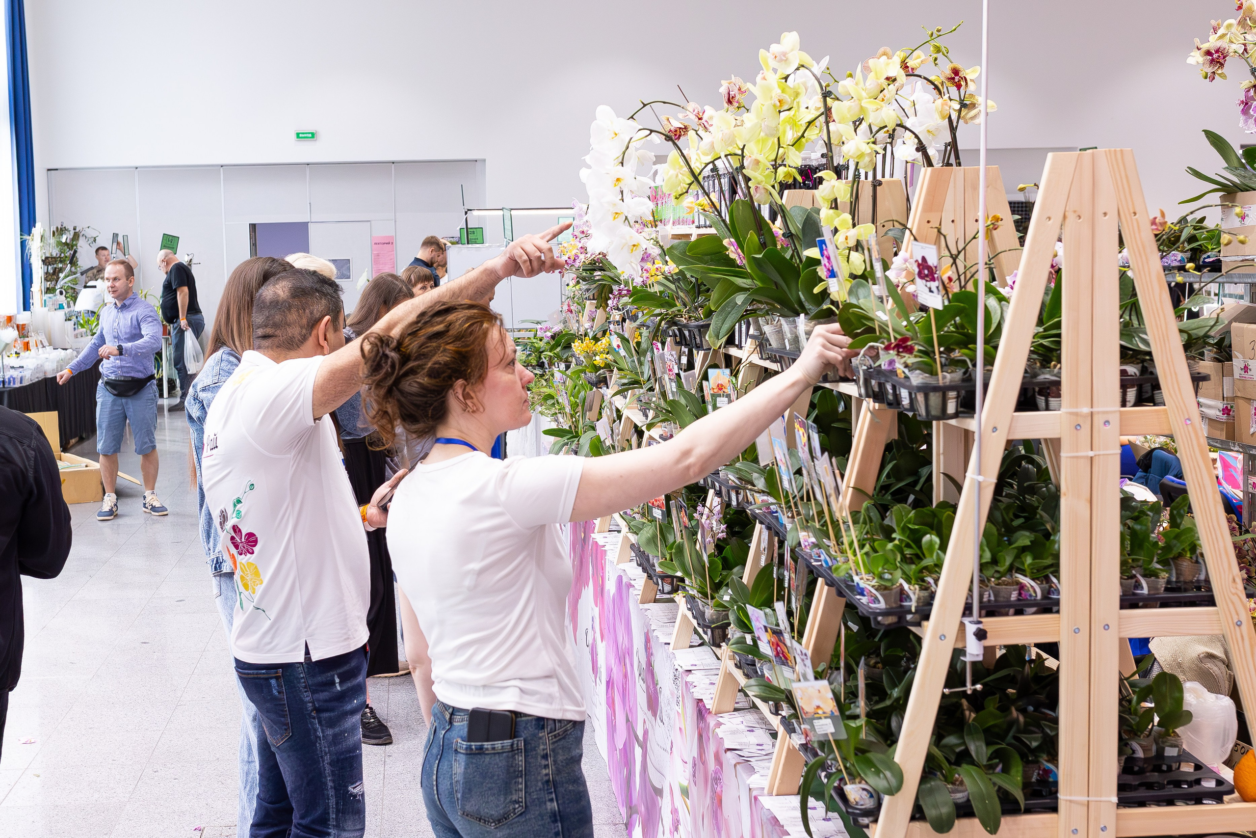 Орхидиум май 2025. Александра Куликова фотограф, Москва