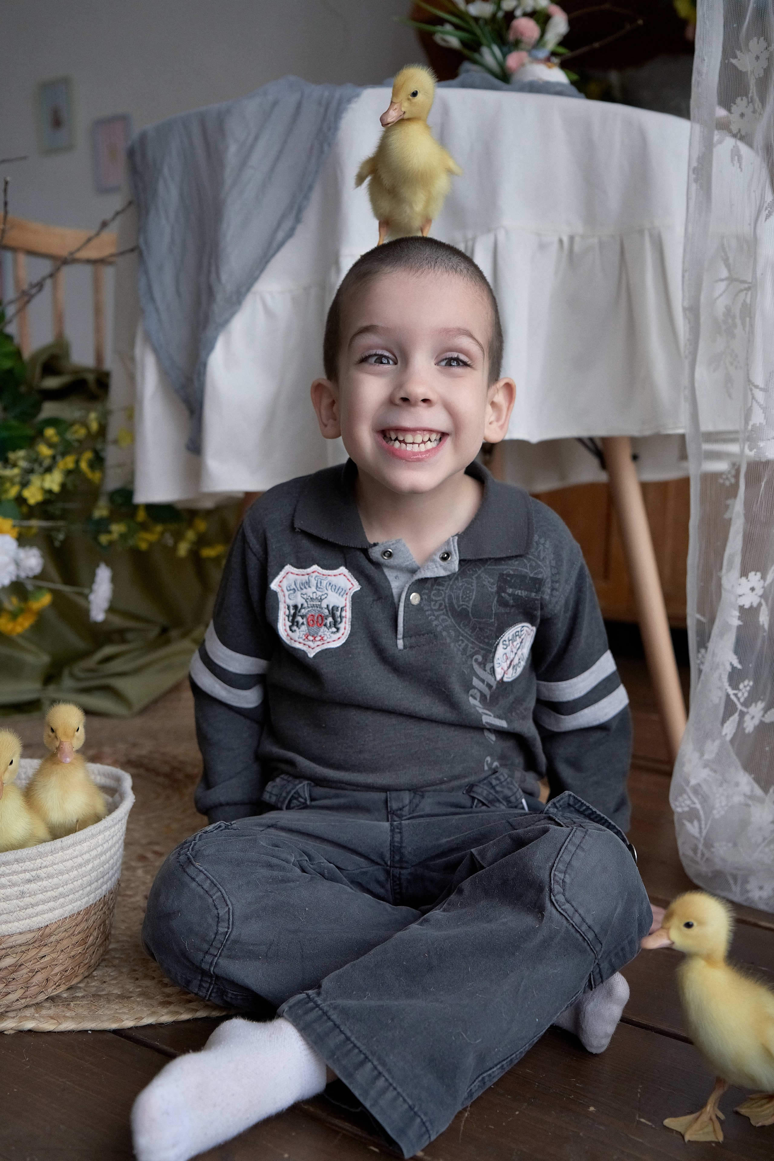 Пасхальная фотосессия с животными в&nbsp;студии г.Краснодар