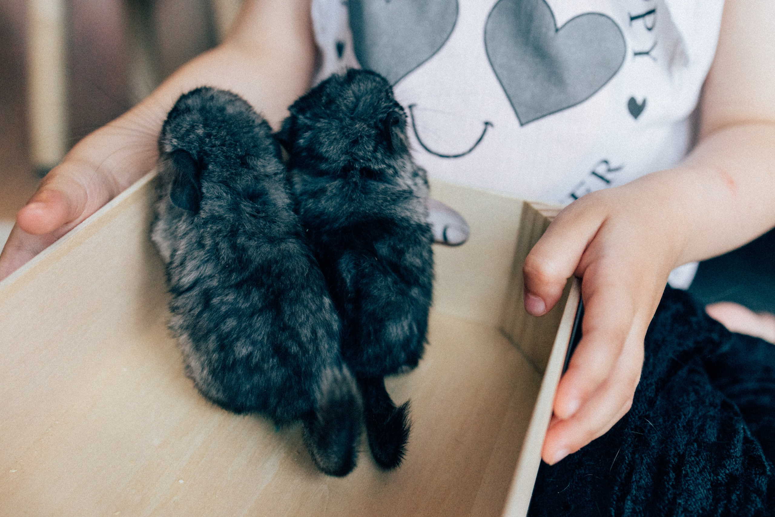 Lifstyle Фролкины. Семейный, женский и детский фотограф Татьяна Колобаева