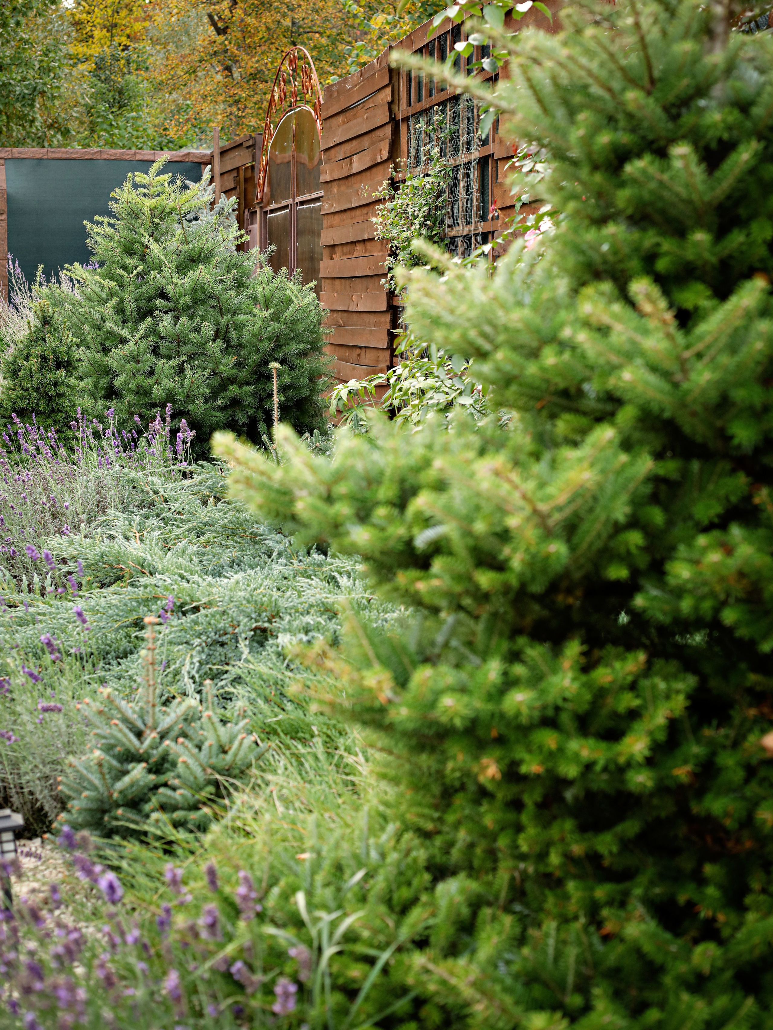 Парк-заповедник Купидон. Семейный фотограф в Димитровграде Елена Патрушева
