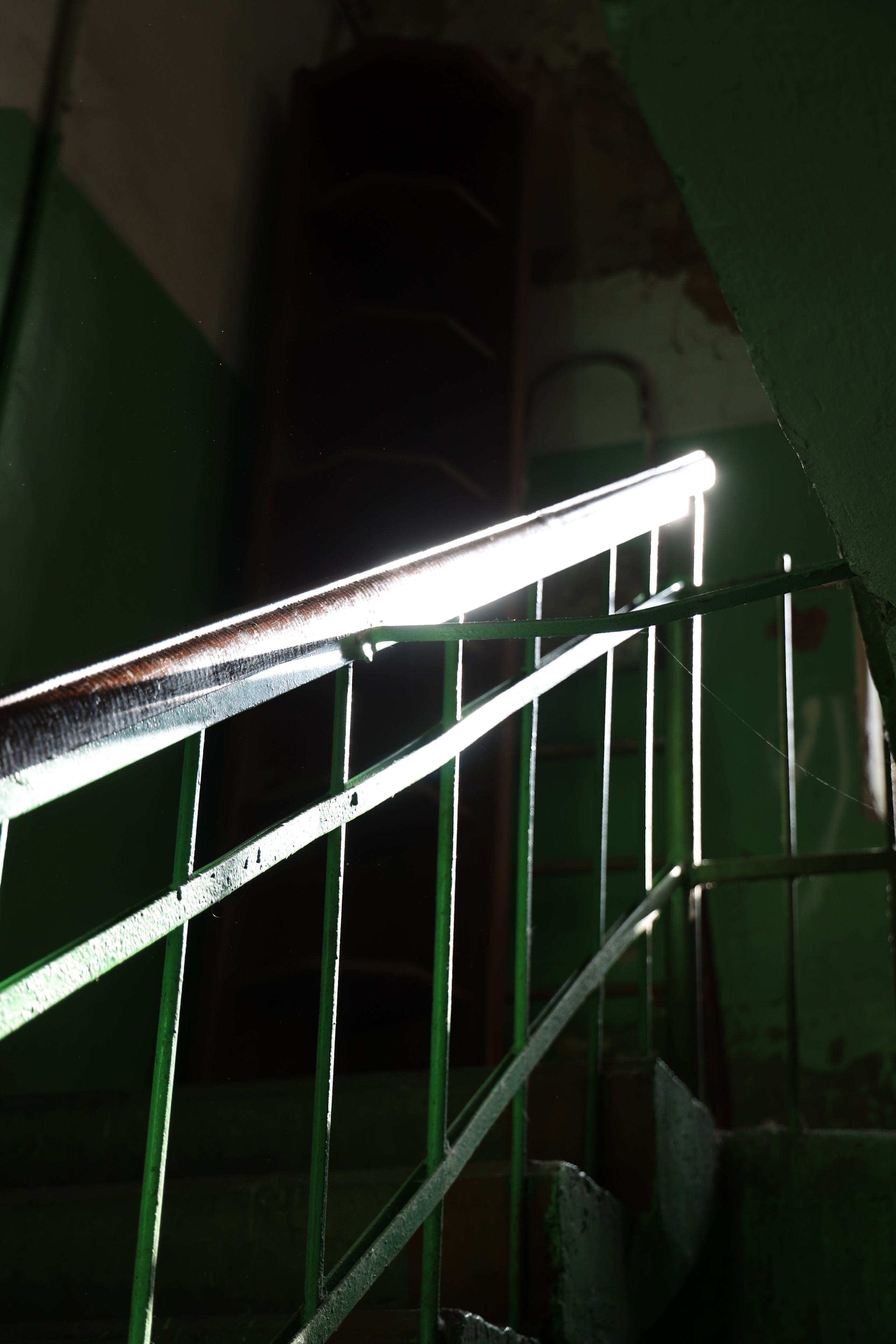 Любимое. Фотограф в Санкт-Петербурге Анна Сосновская