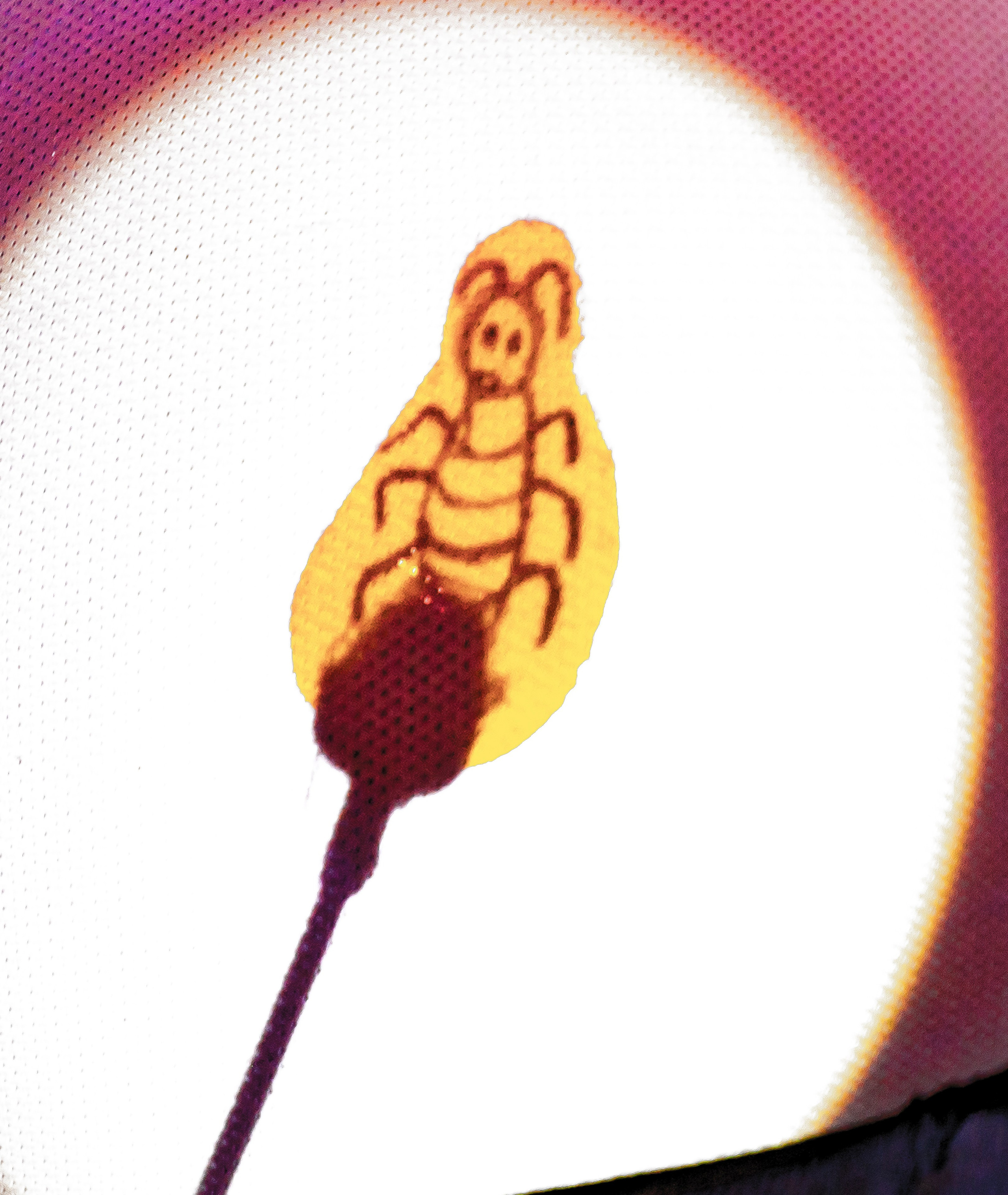 Тараканище спектакль кукольного театра Саквояж — премьера. Фотограф в Сочи Юрий Шептаев