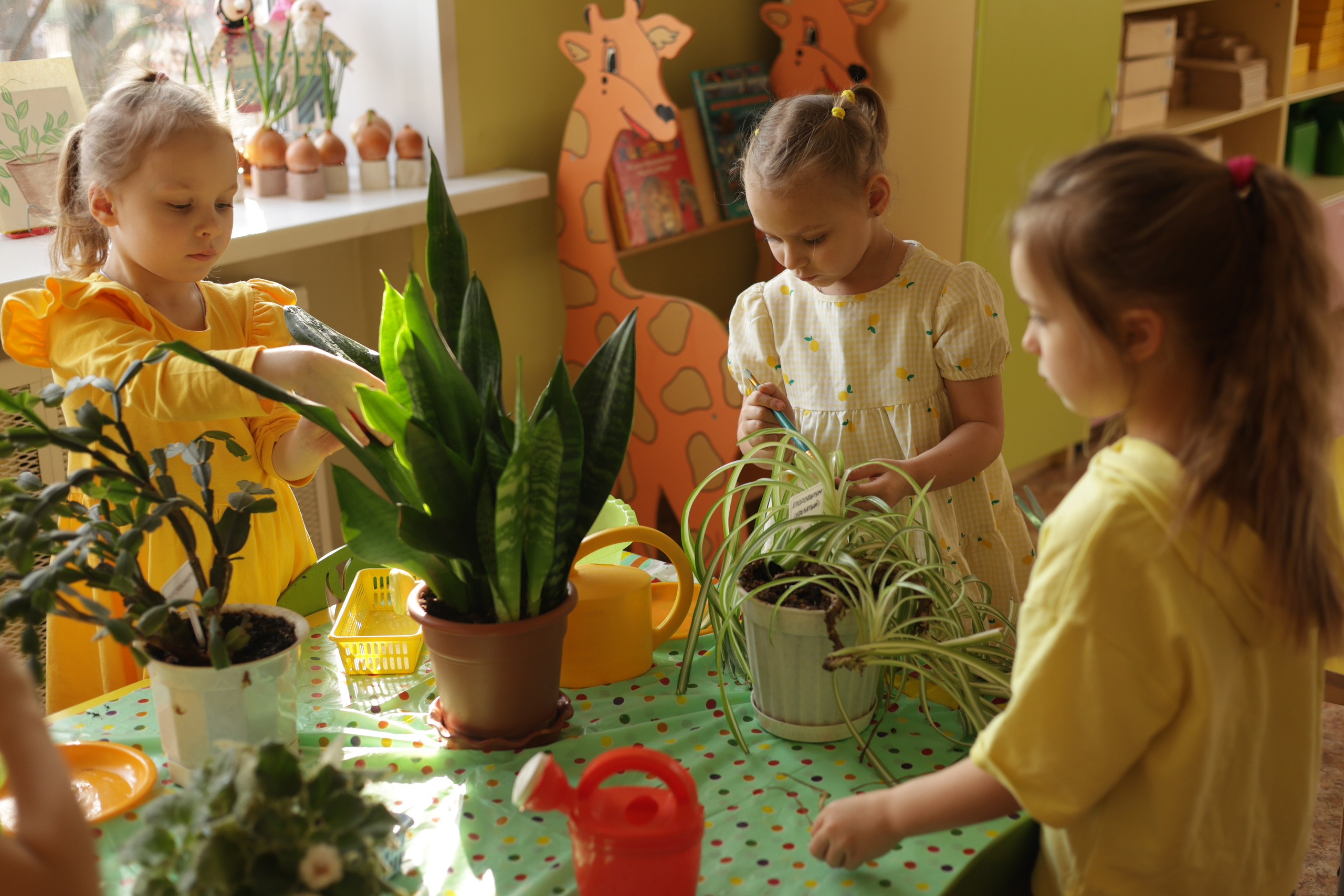 ДС «Жемчужинка». Сайт фотографа Ирины Аникановой