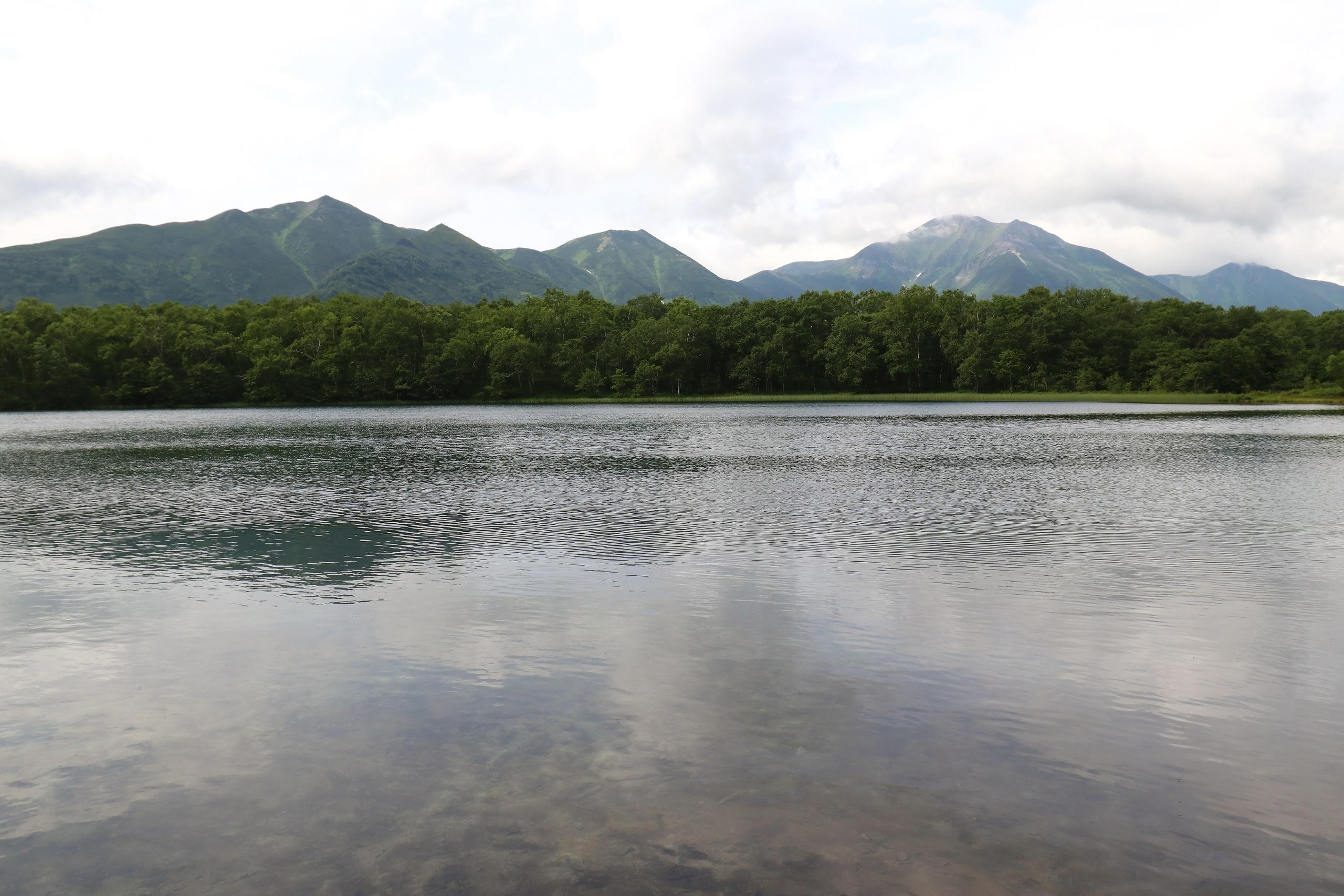 Камчатка и о. Парамушир. Июль 2024. Путешественник-фотограф из Санкт-Петербурга Татьяна Свистулина