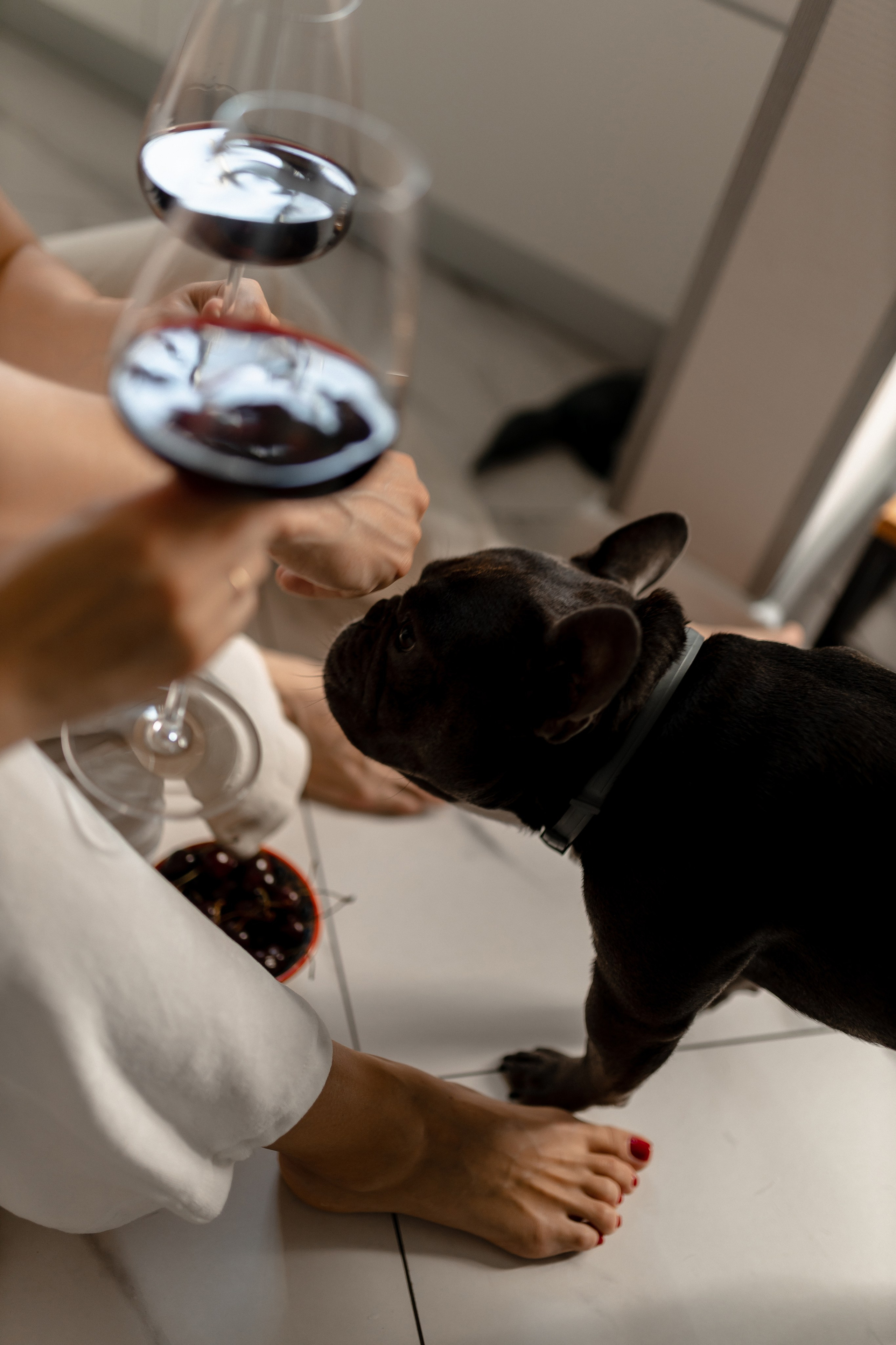 Юля, Паша, Тони. Свадебный фотограф Елена Ловцевич