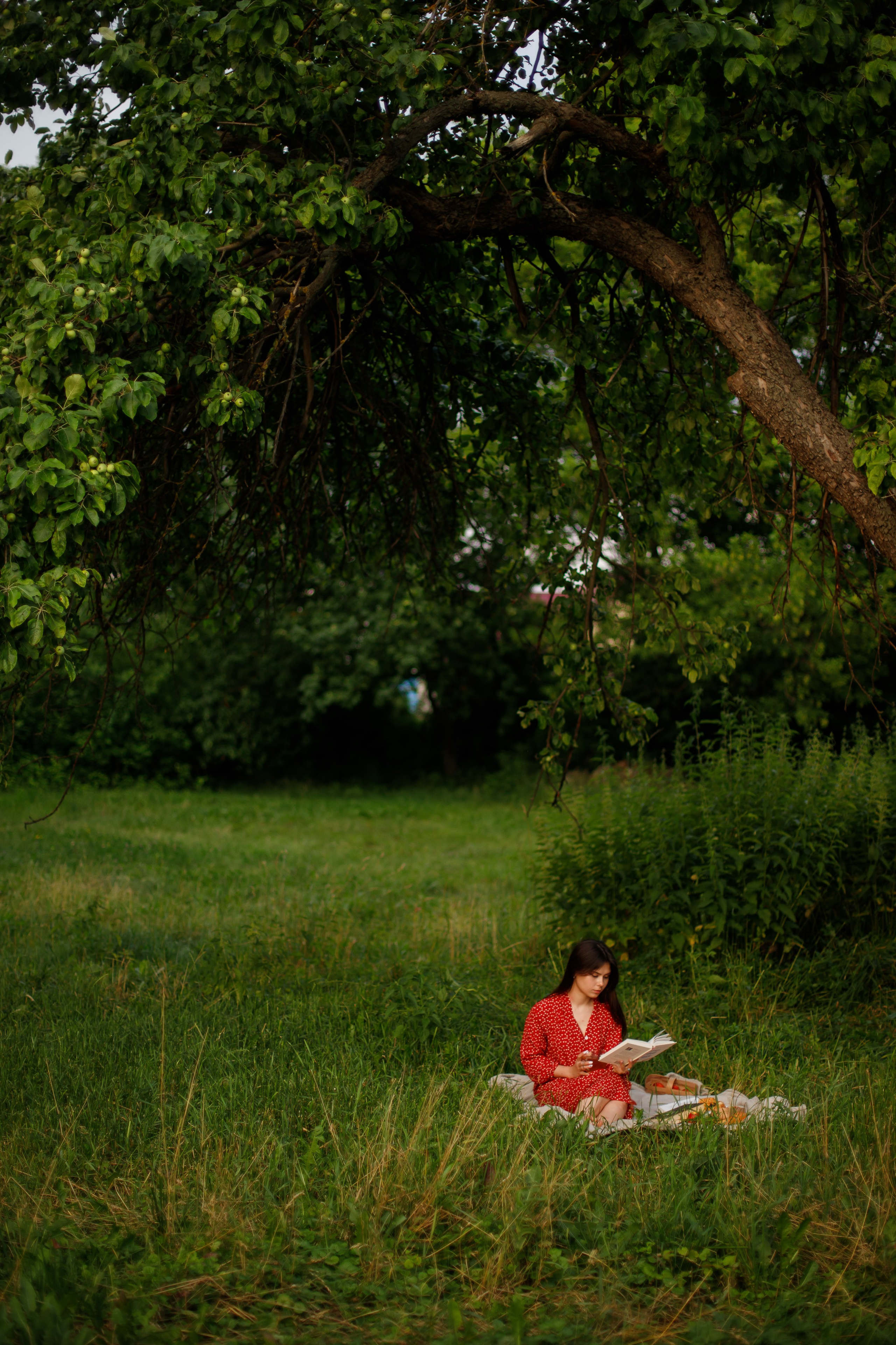 Портфолио. Kotikov Oleg