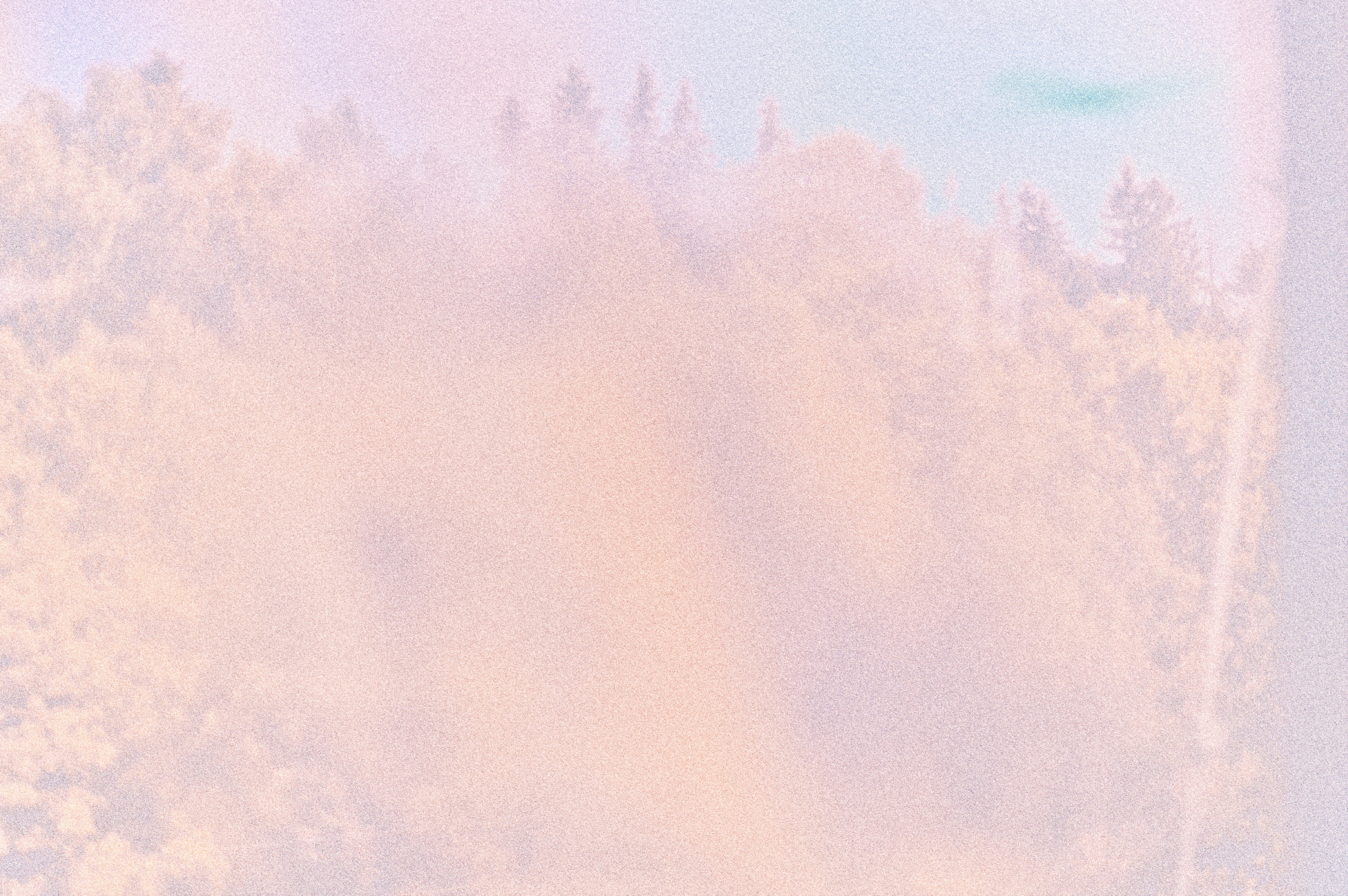 Negative Colors. Художественный фотограф в Москве Алексей Сутягин