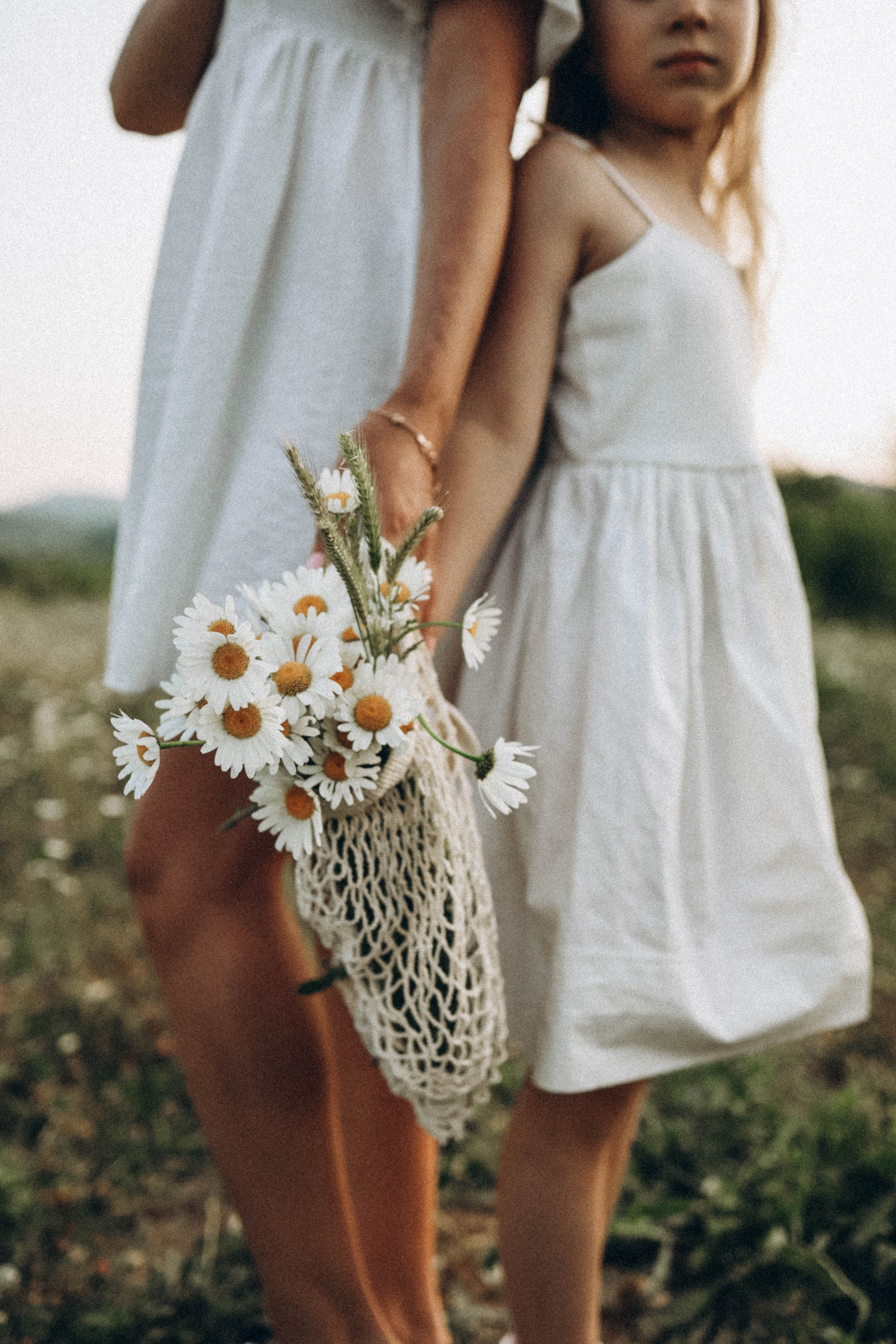 Ромашки. Фотограф Немазенко Ольга