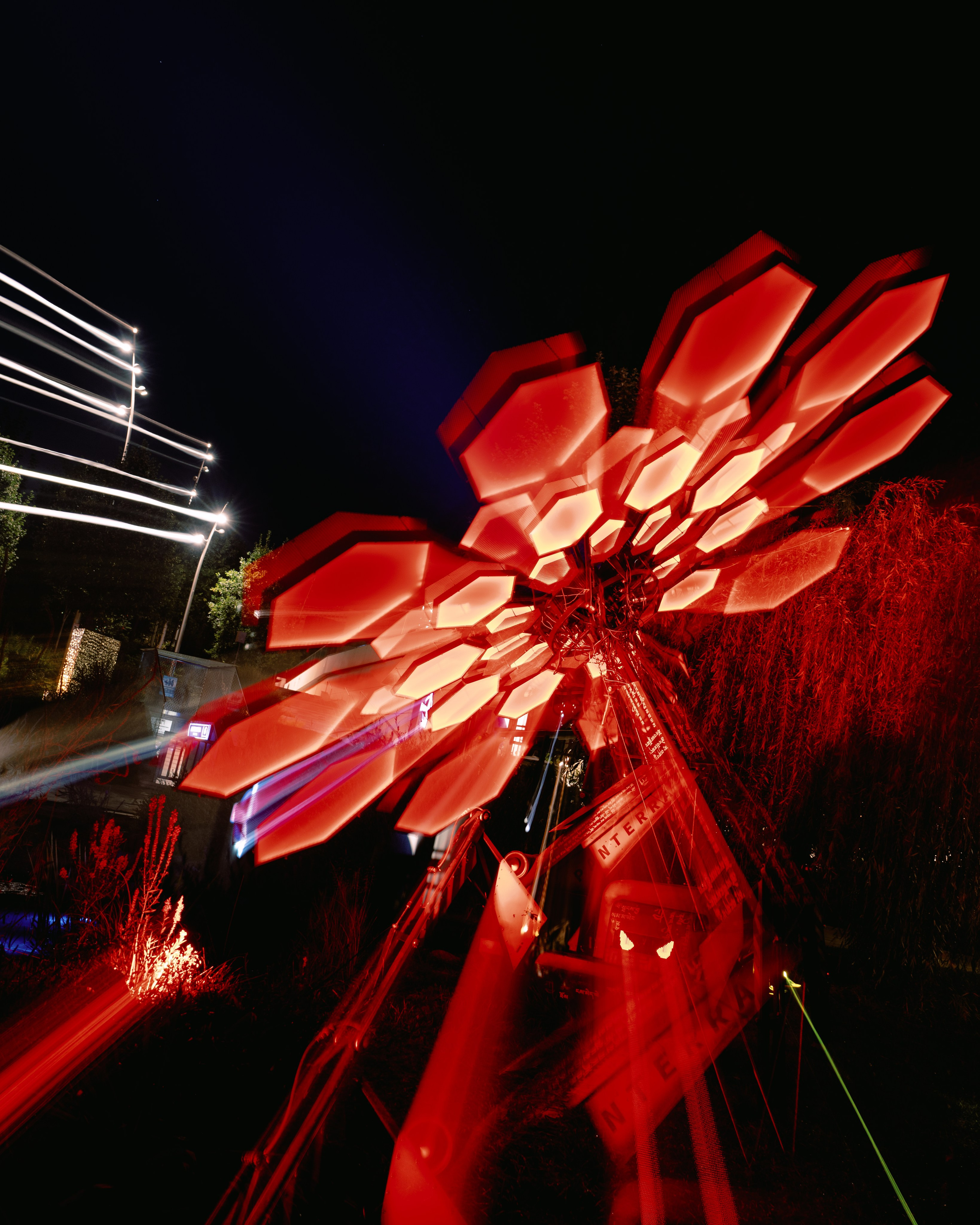 PANTERRA, Cyber Flower. @tomrus: Рустам Шагиморданов — фотограф