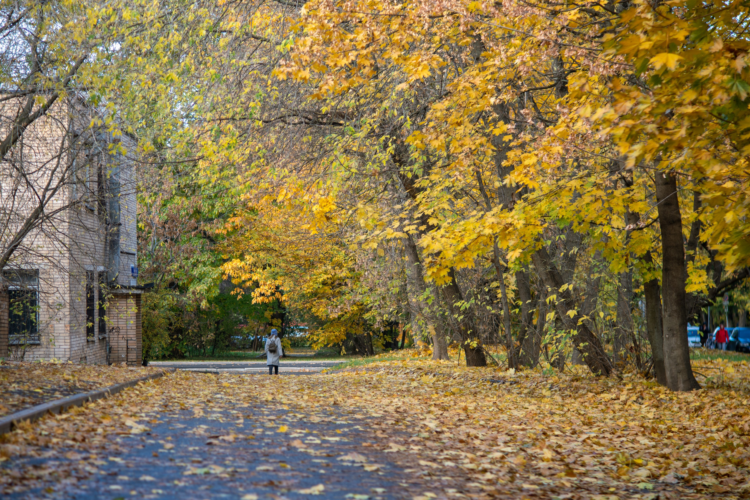 20251012 МГУ. Дмитрий Ремизов. Фотография, как хобби