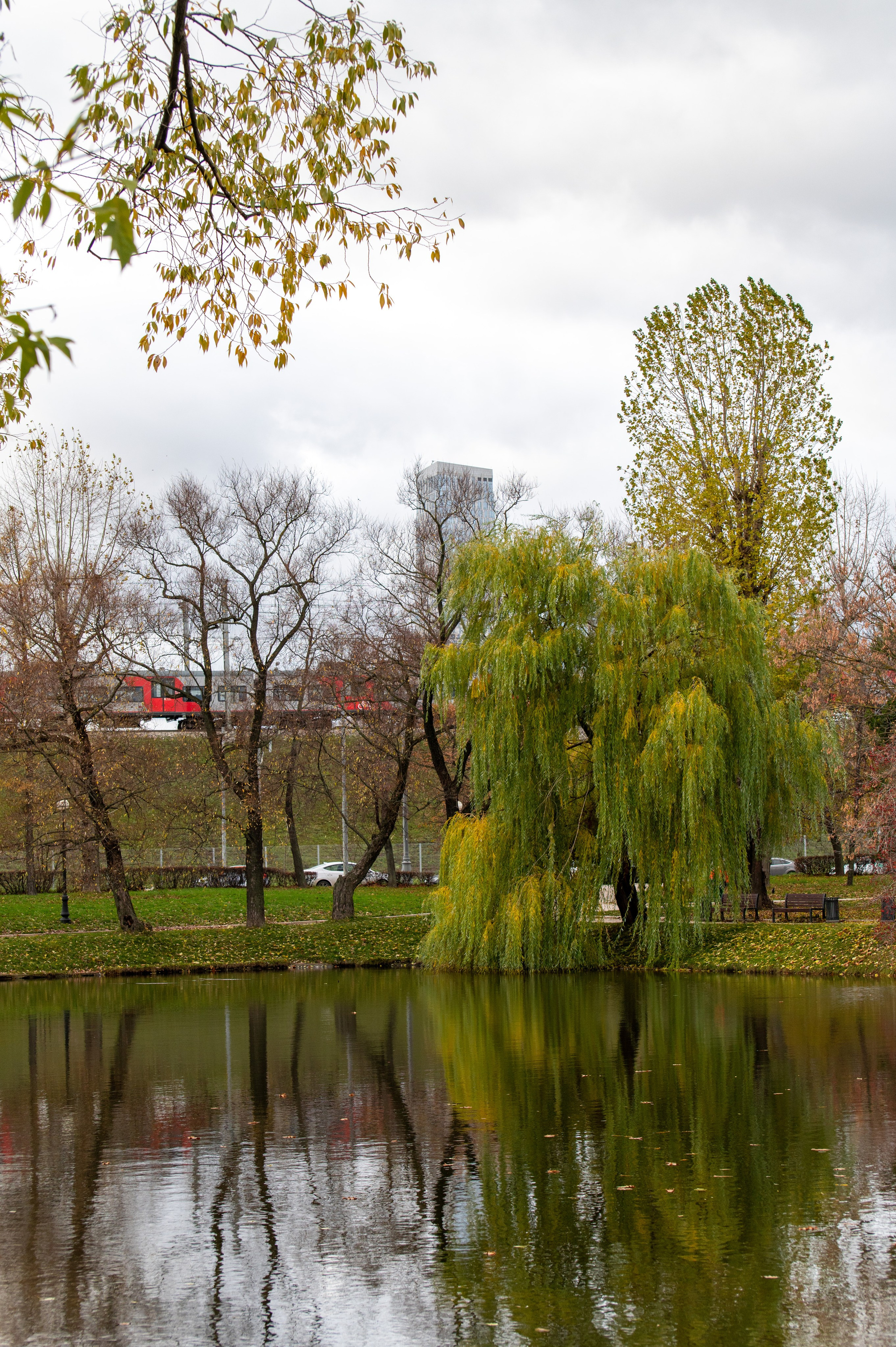 20221030 Новодевичий. Дмитрий Ремизов. Фотография, как хобби