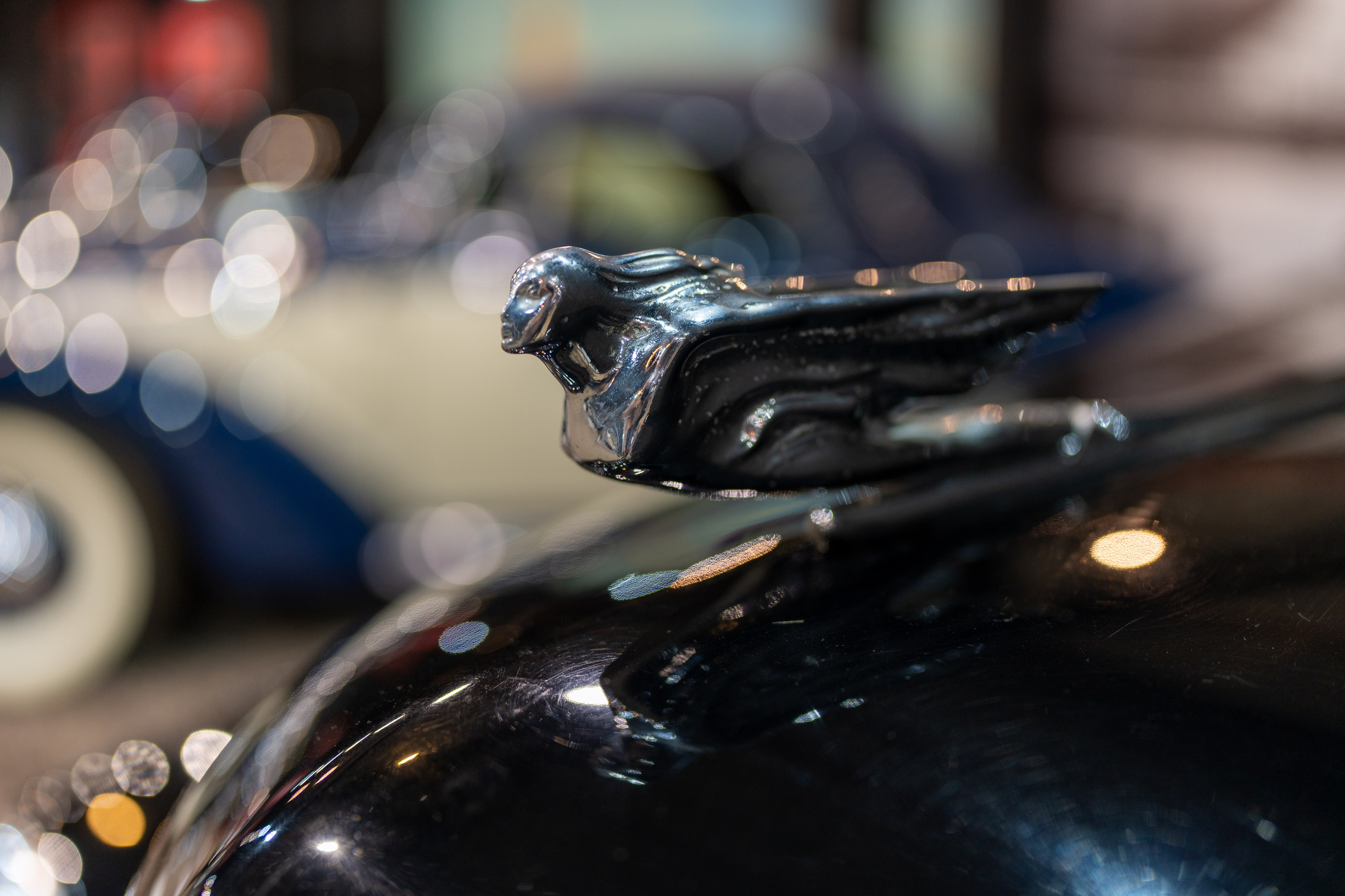 20251028 Музей Автомобили мира. Дмитрий Ремизов. Фотография, как хобби