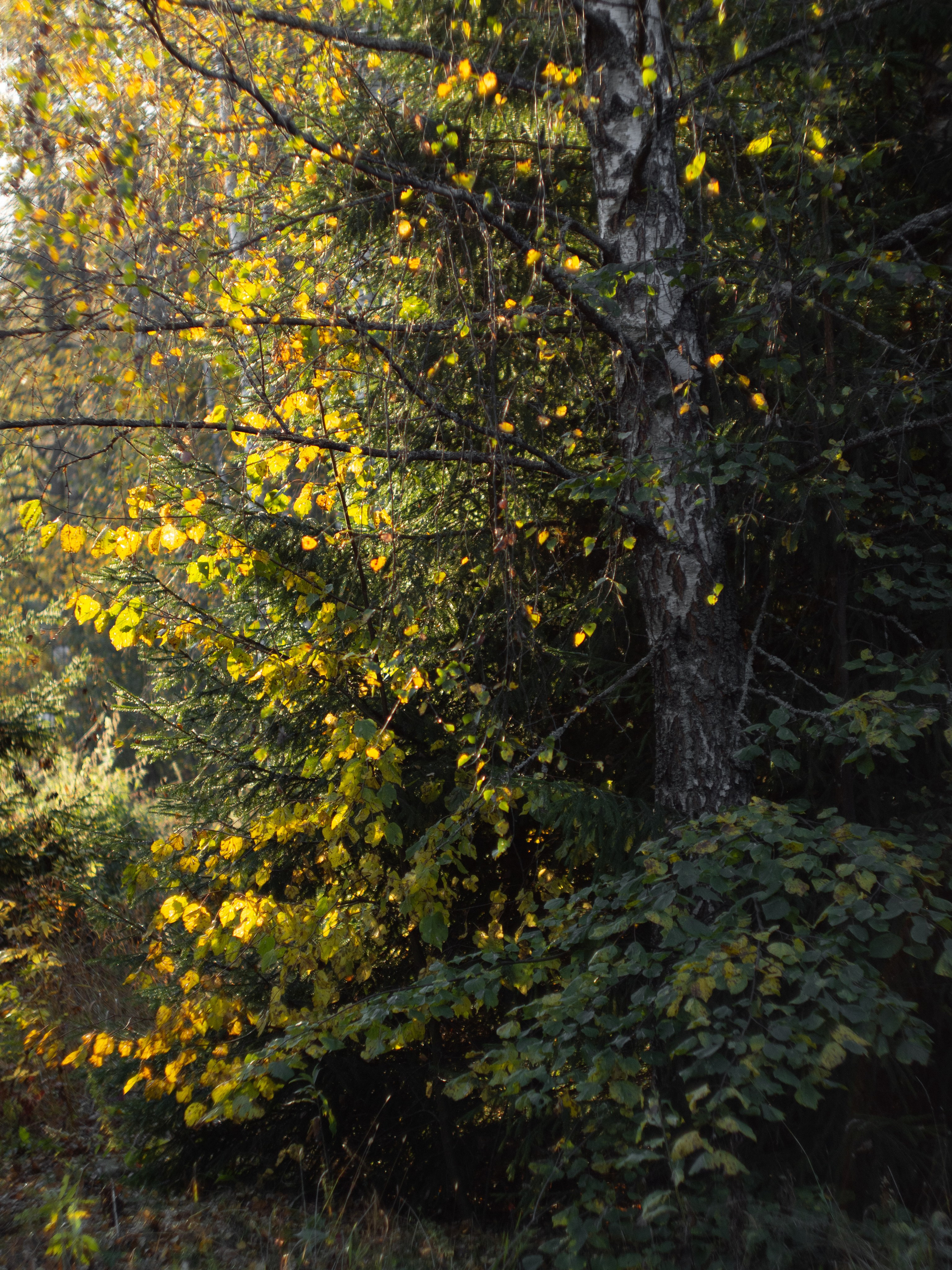 20230923-25 Родники. Дмитрий Ремизов. Фотография, как хобби