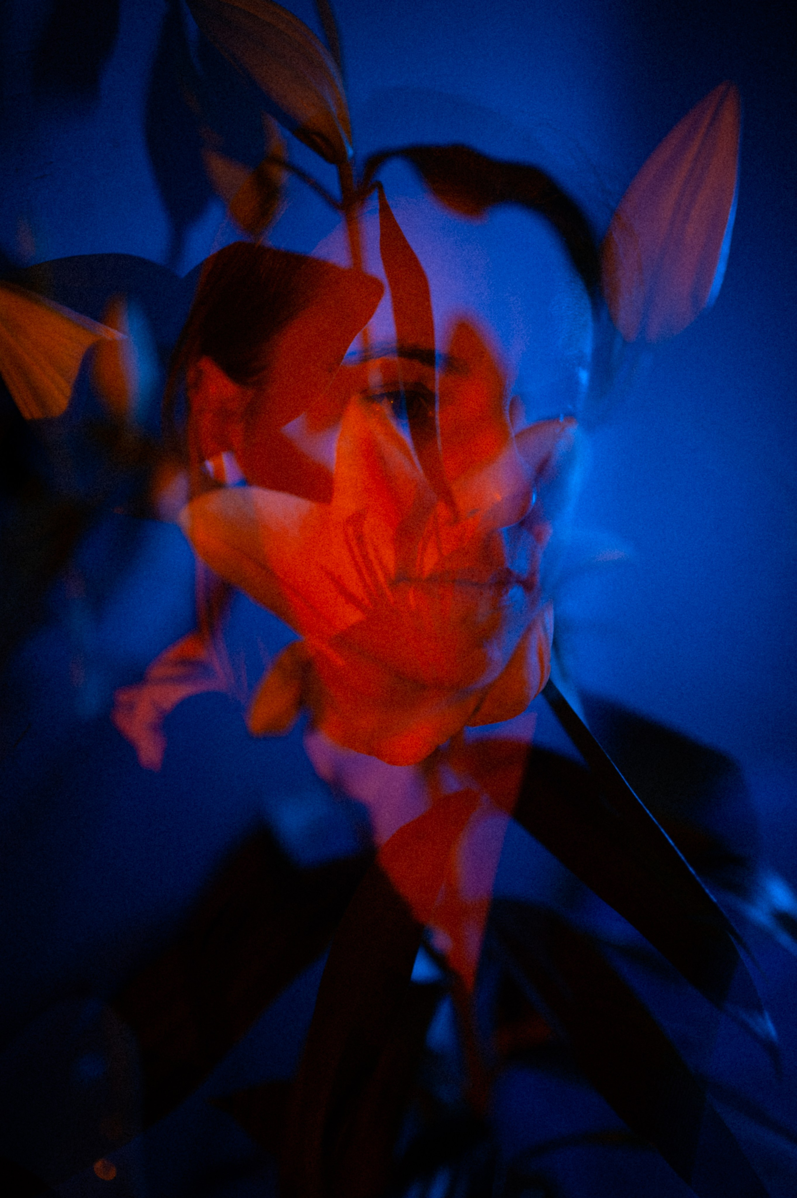 Женский портрет. Портретный фотограф в Саратове Мария Сайлент