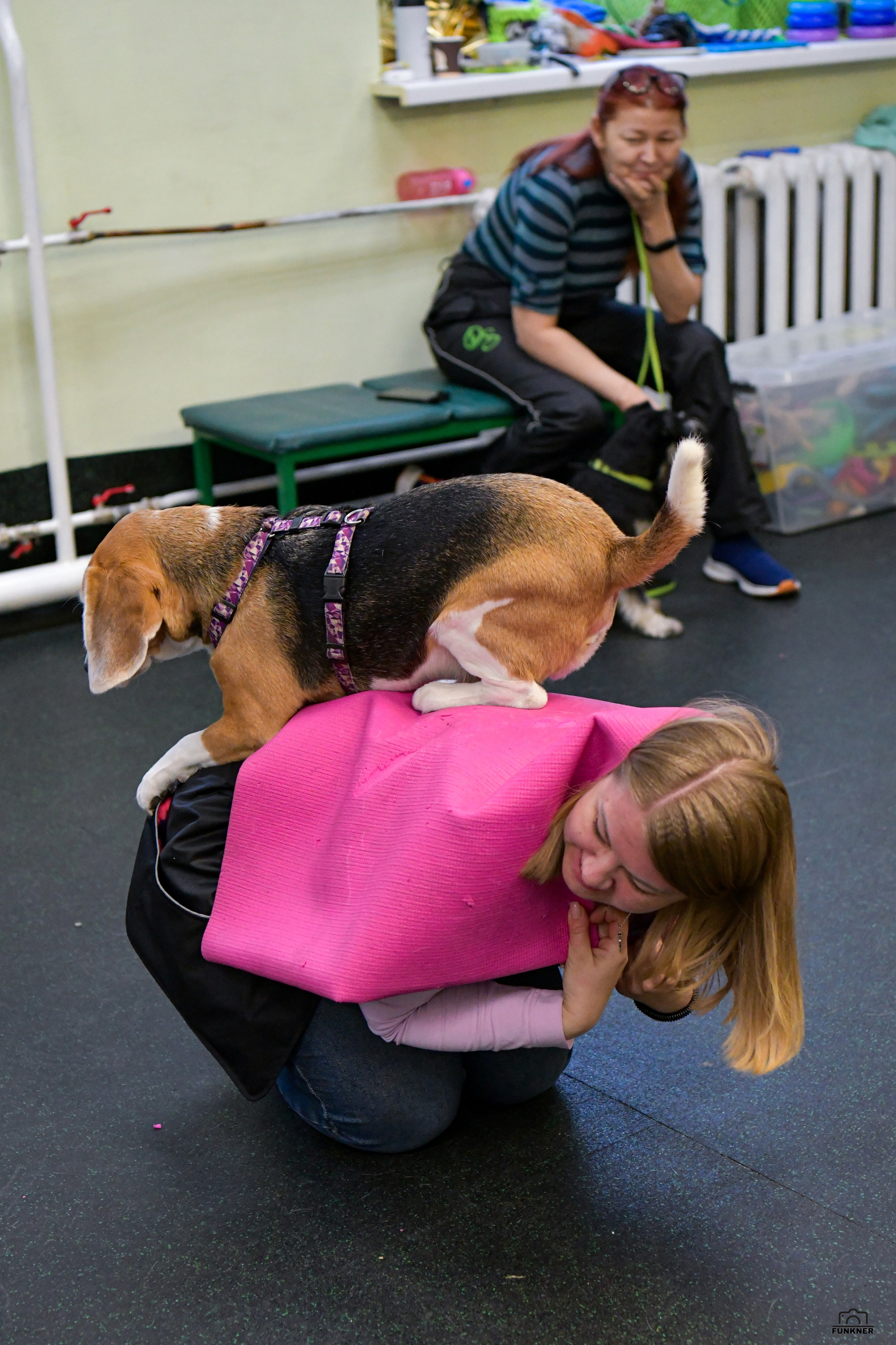 Кинологический клуб «Бодрый хвост». Свой взгляд через объектив