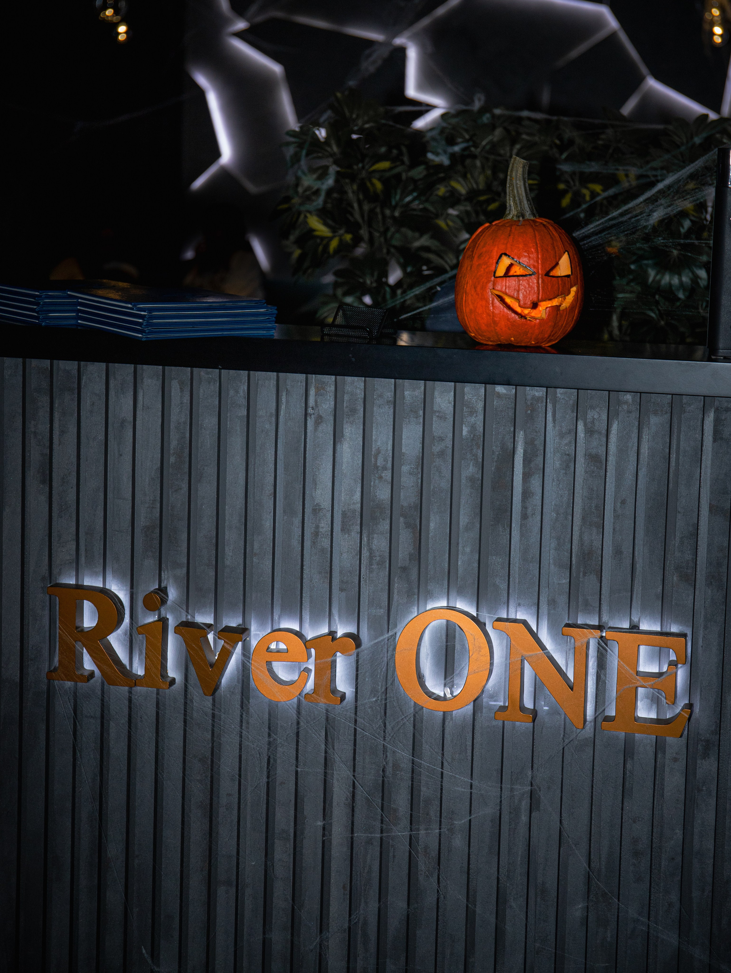 Открытие кальян-бара. Свадебный и семейный фотограф в Москве Мила Широких