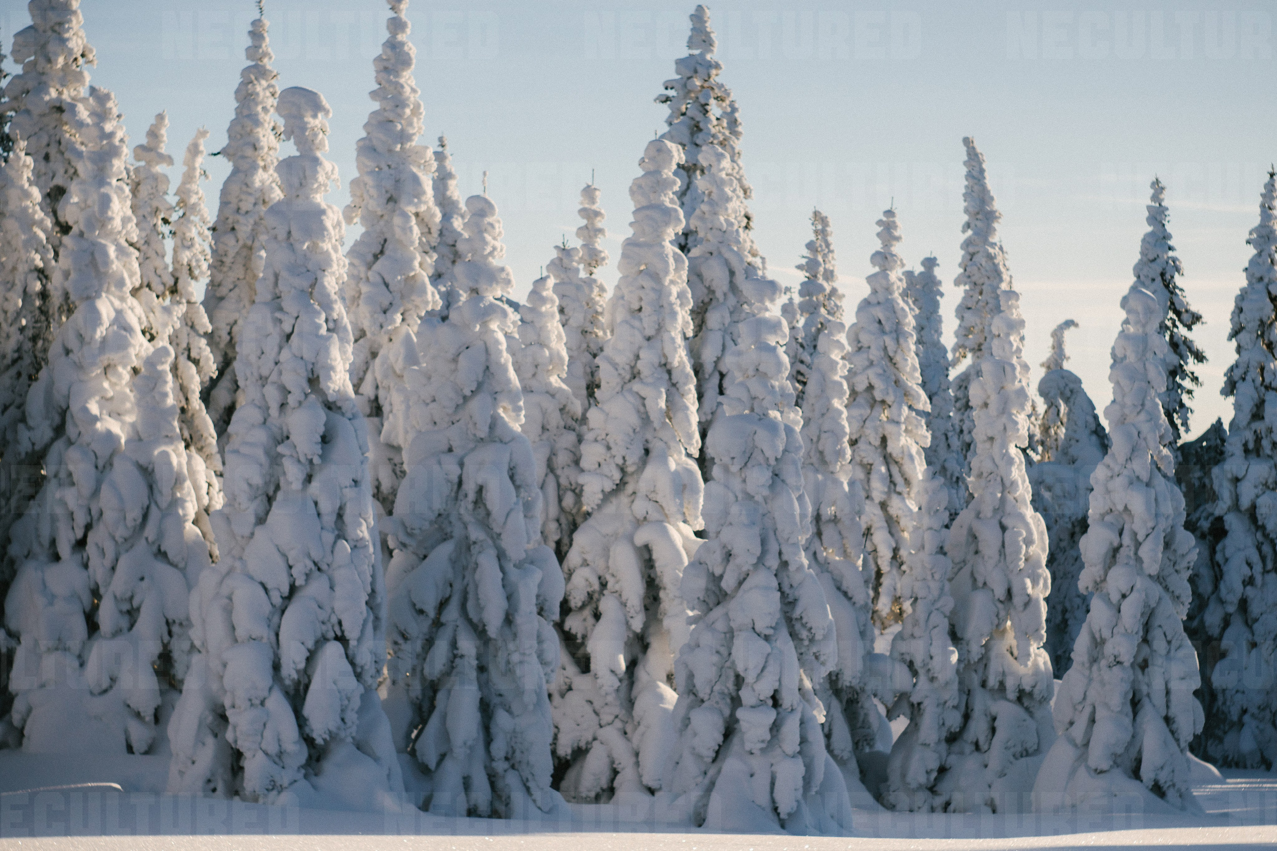 Фотосессии в путешествии. Пленочный фотограф в Москве | Necultured