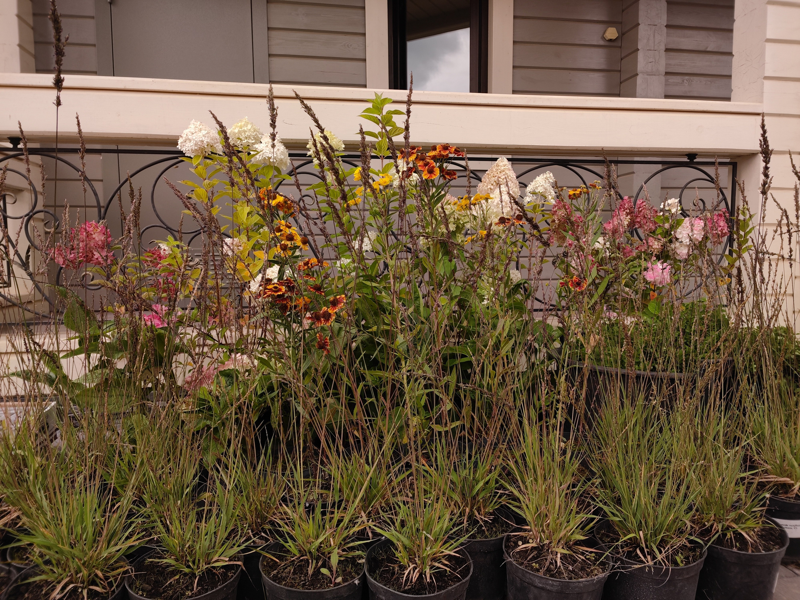 Подбор и посадка растений. Все виды ландшафтных и строительных работ