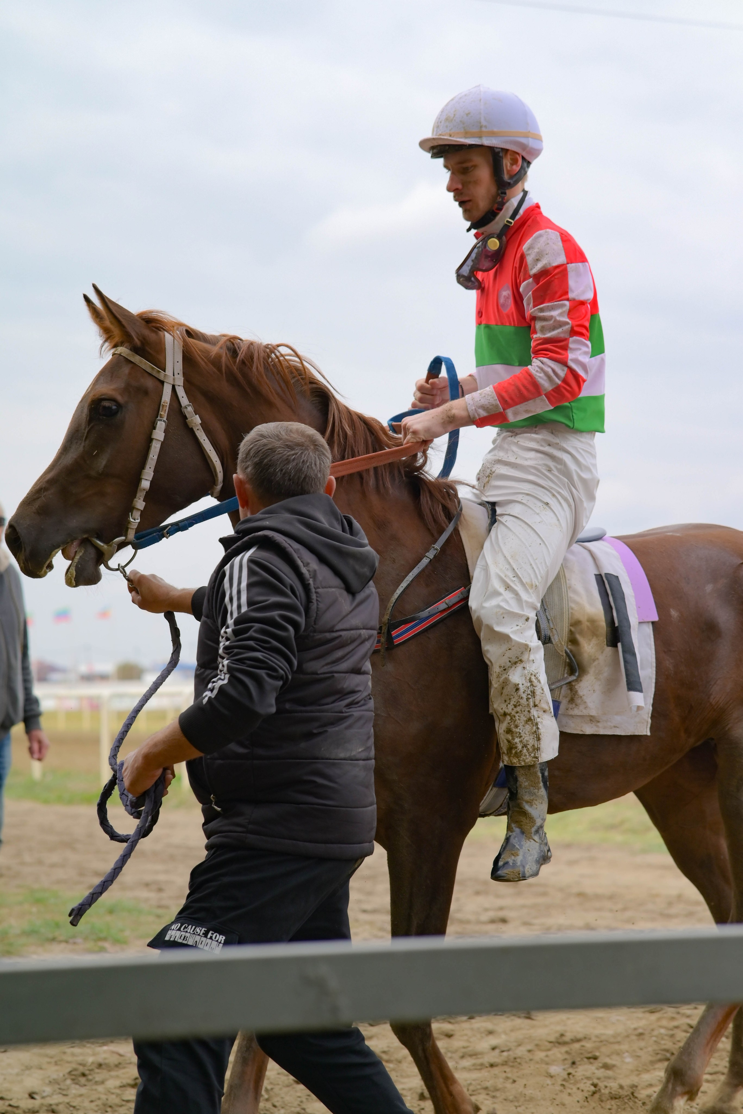 Закрытие скакового сезона 2024 г. Краснодар. Фотограф Краснодар Наталья Сувит