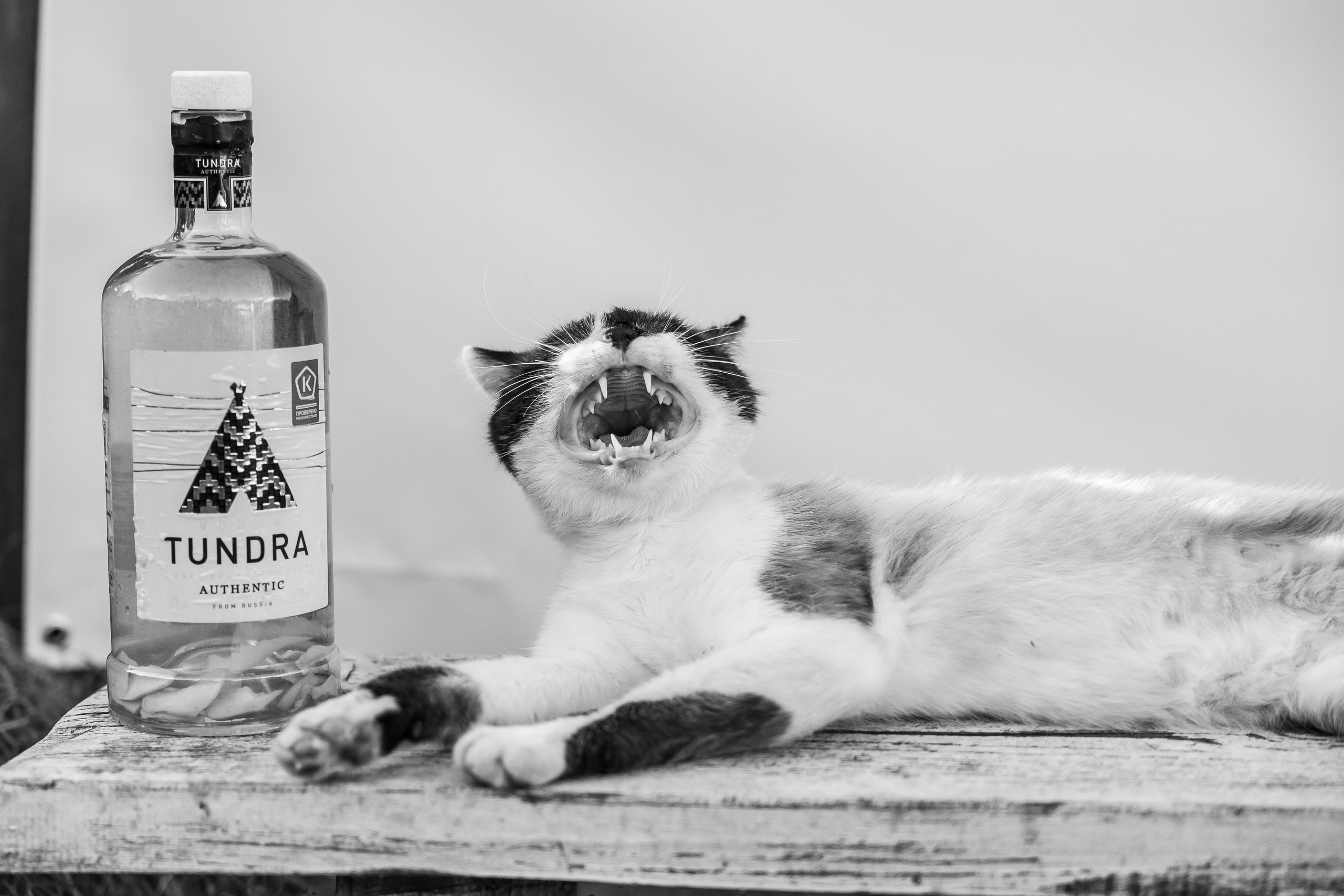 Свадьба в деревенском стиле. Фотограф Сергей Ртищев в Москве и РФ