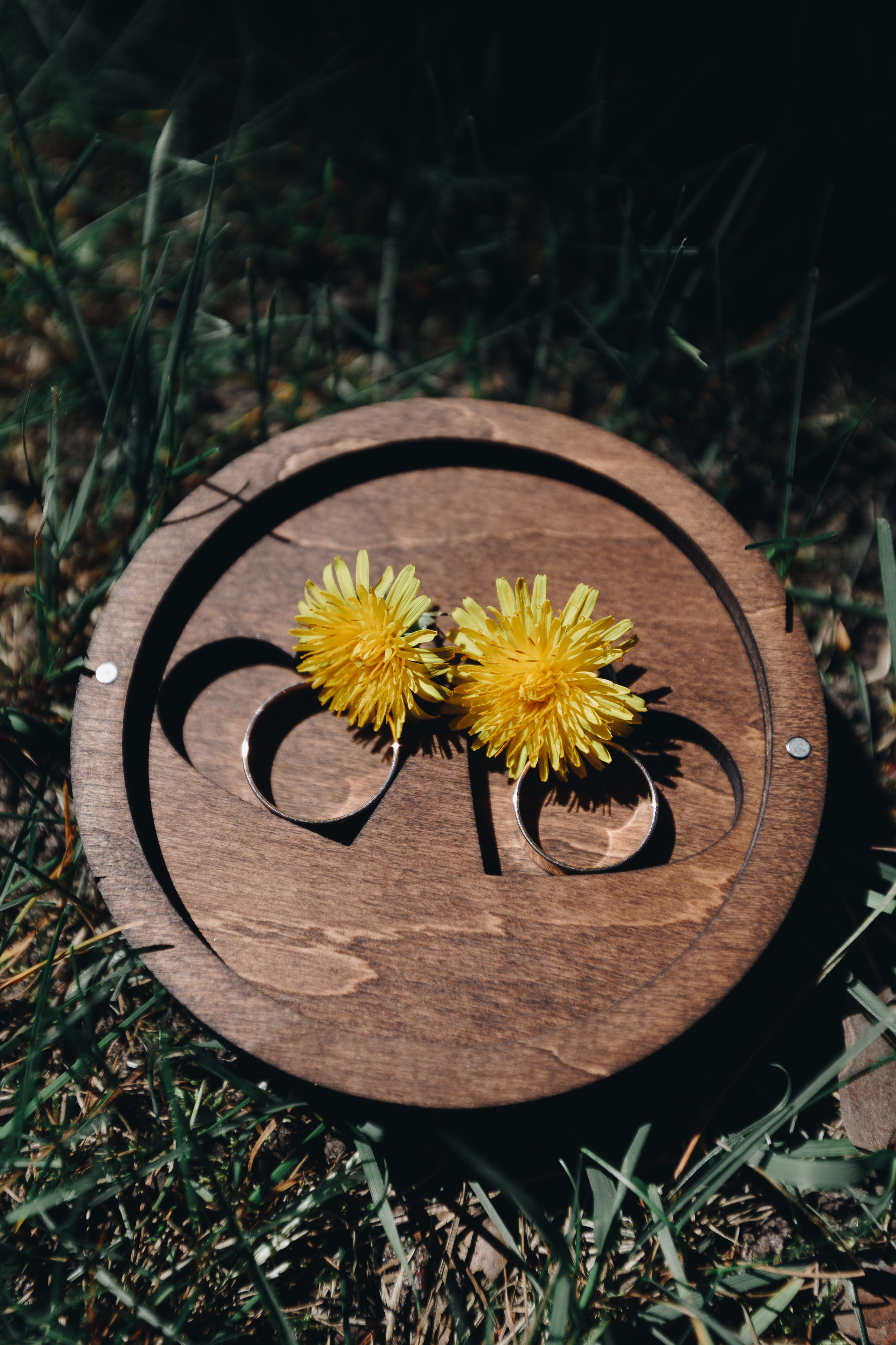 K+D. Свадебный семейный фотограф и видеограф Гомель Минск Беларусь Европа