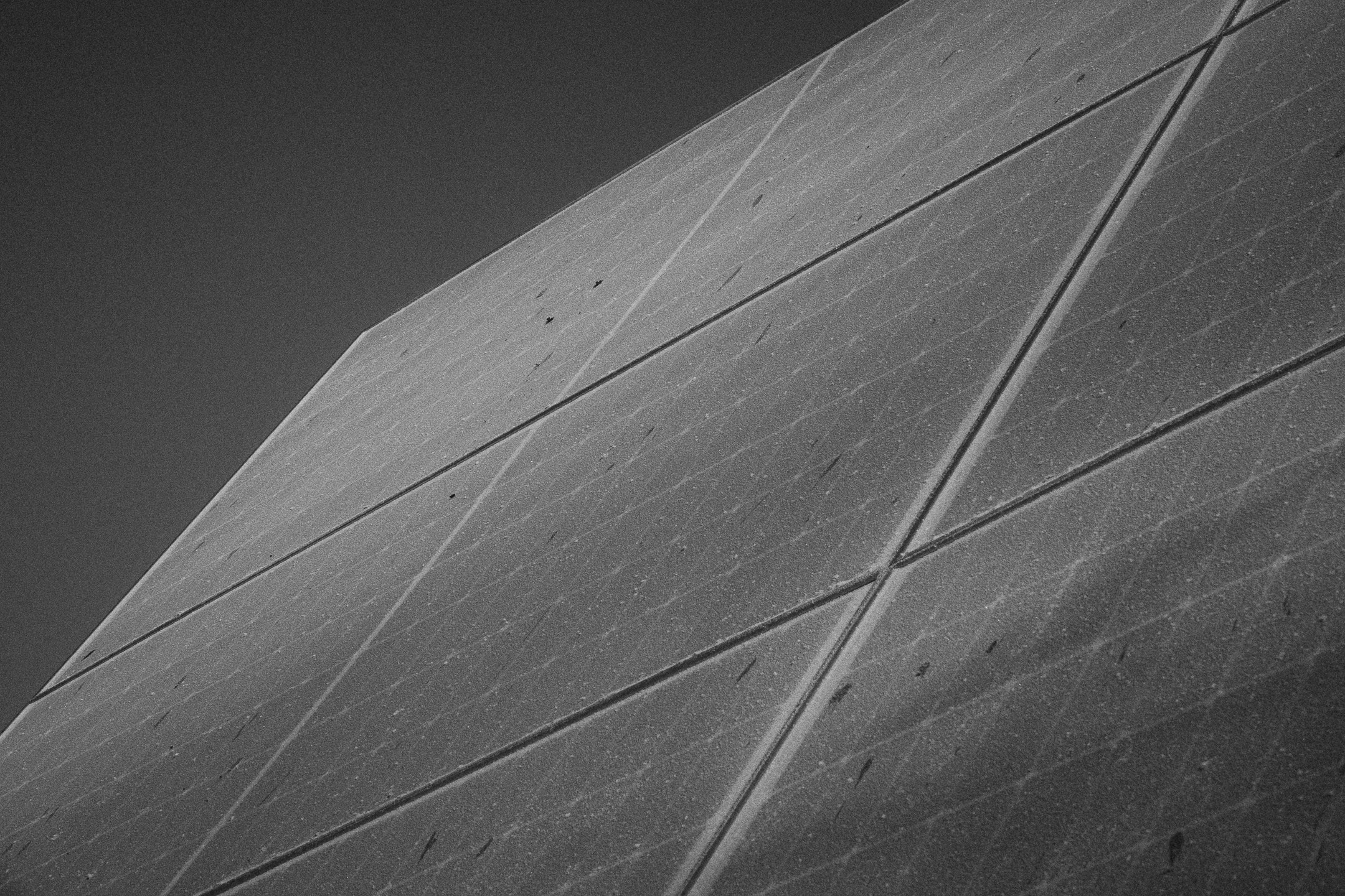 Conceptual. AndreyRKT Photo