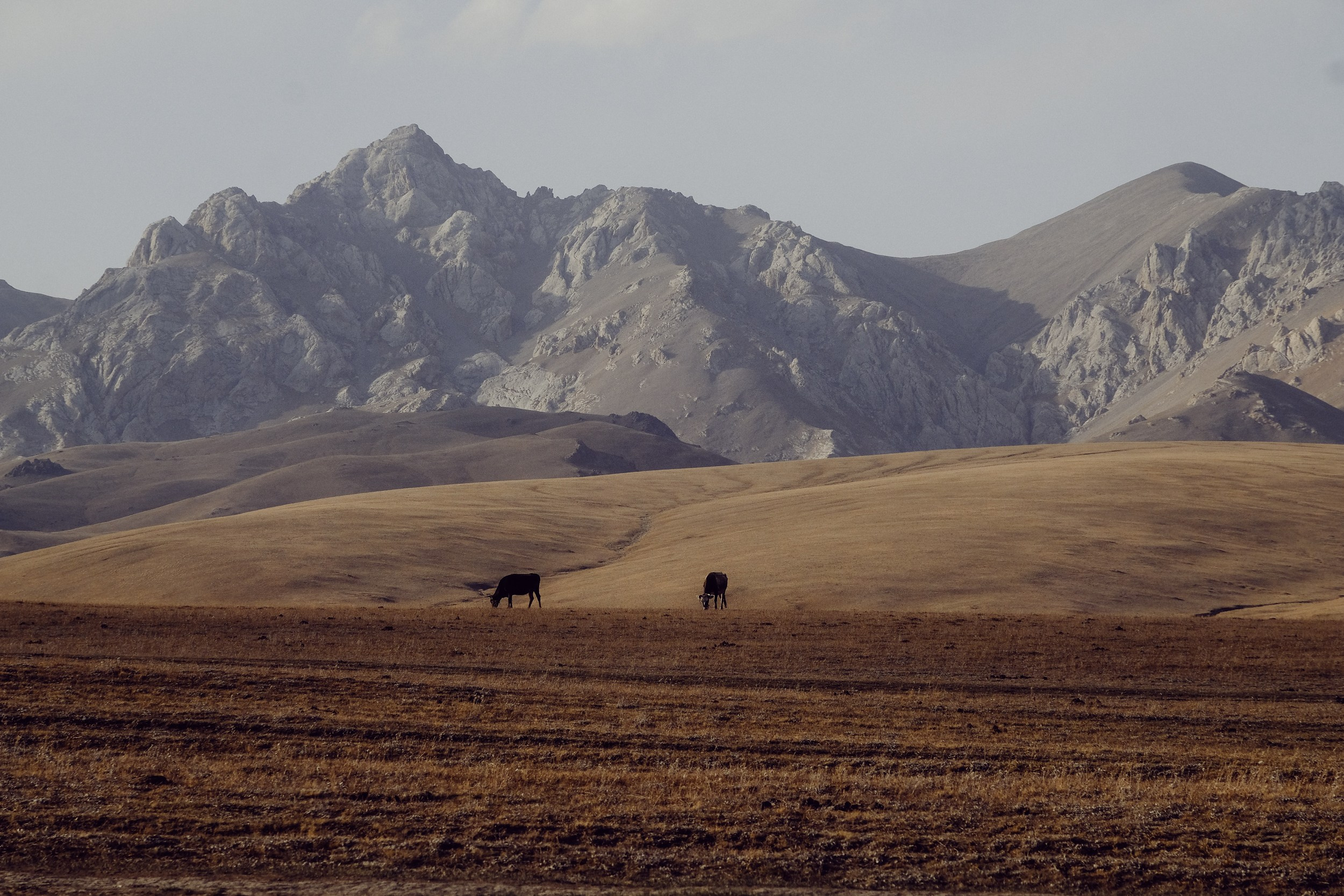 Кыргызстан. Фотограф Дмитрий Олрайт | Калуга, Россия
