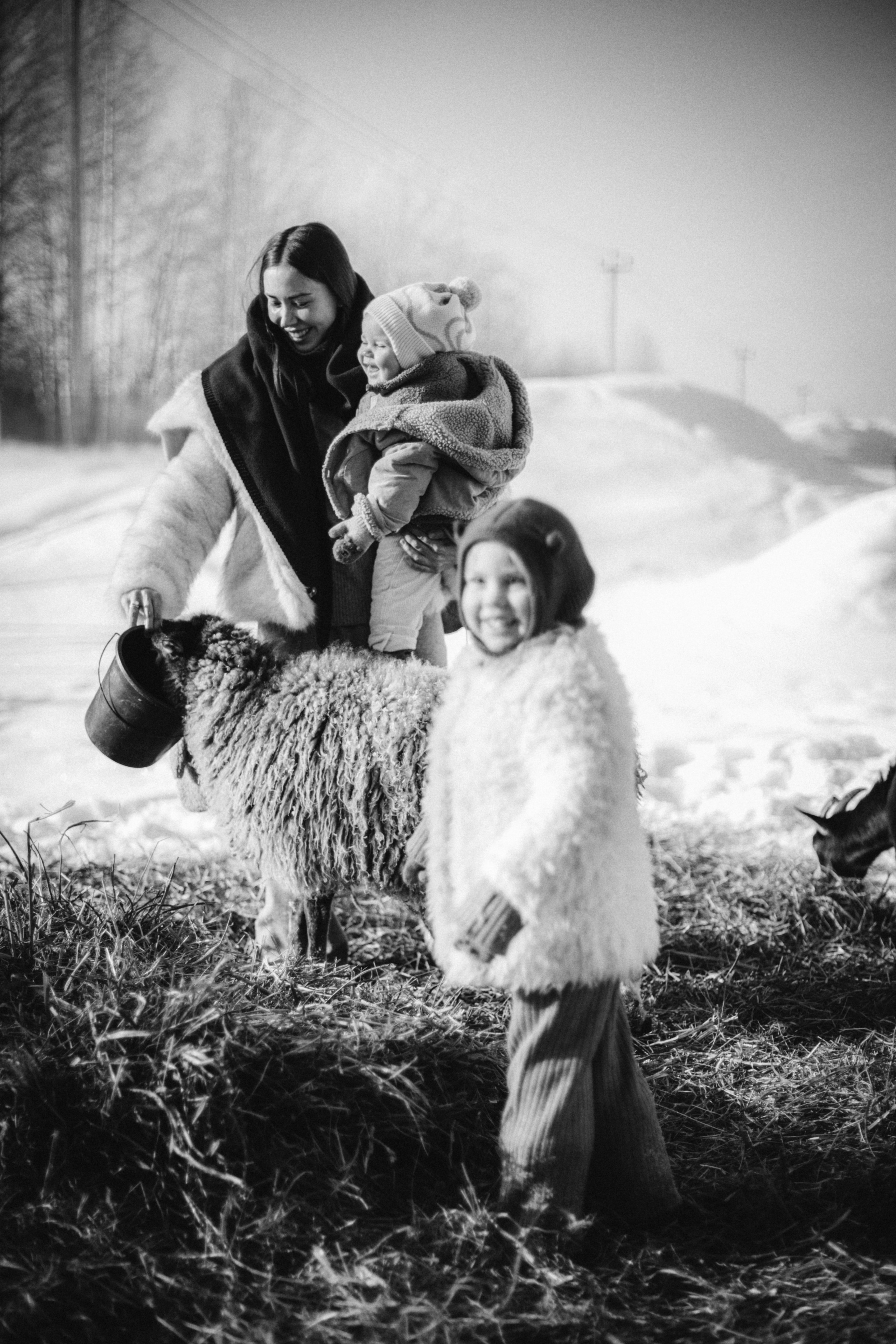 Настя с Сашей и Полей на ферме. Klerout Photographer