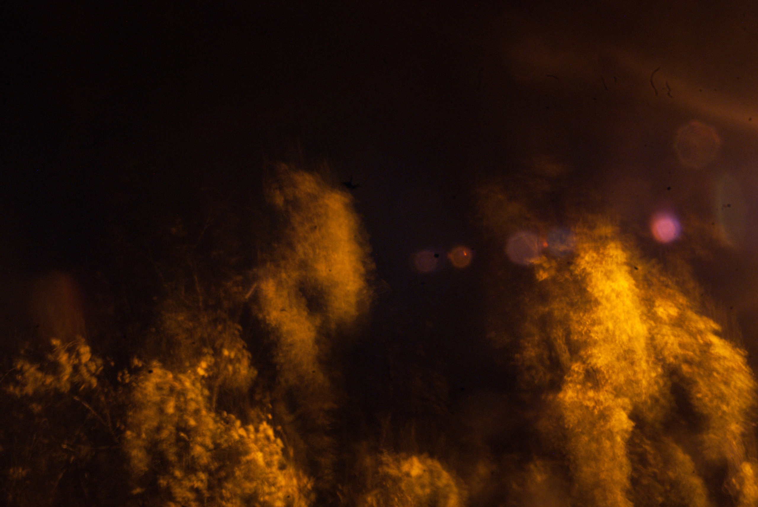 Этот прекрасный мир