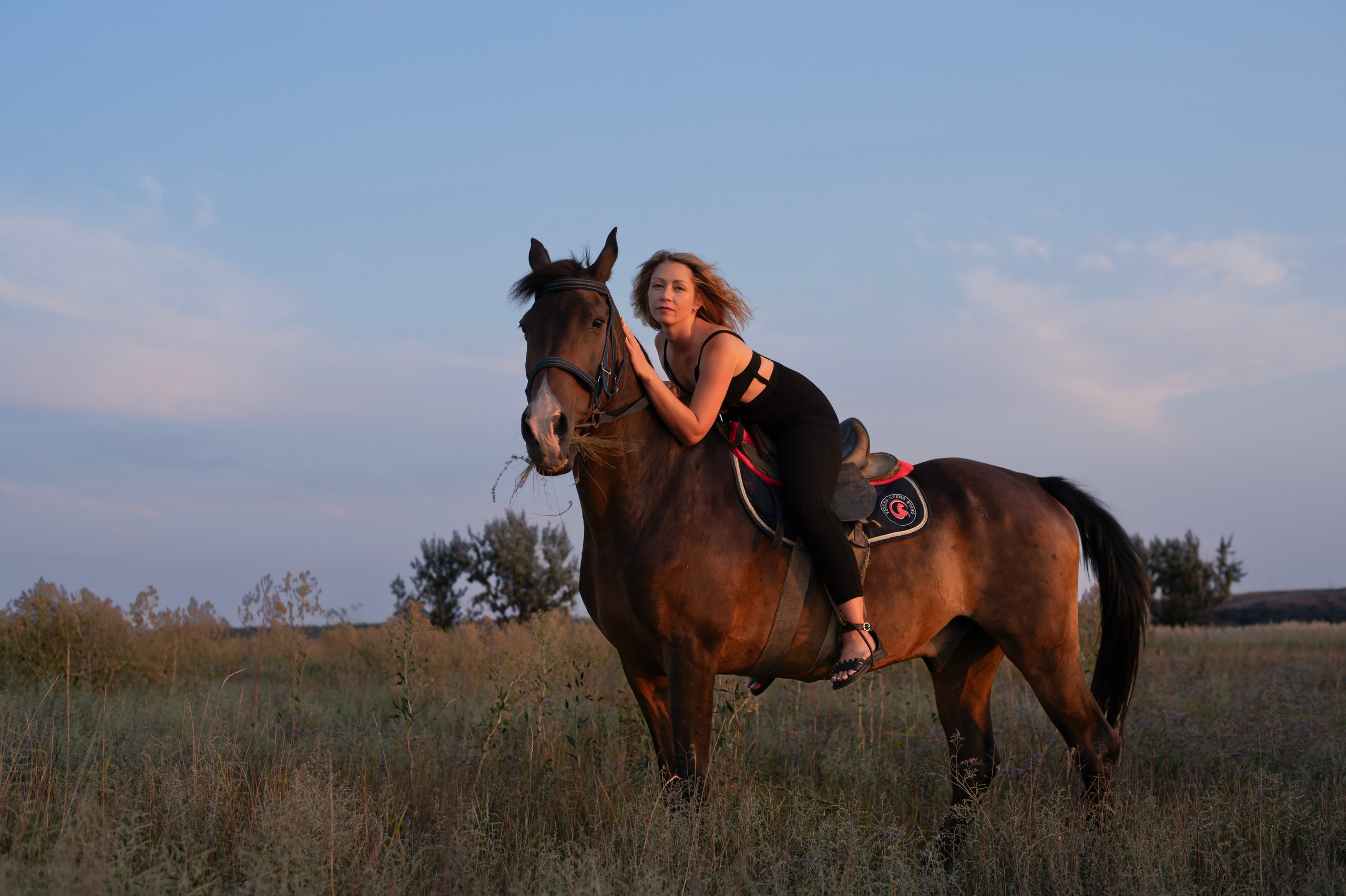 Леди и лошадь. Главная