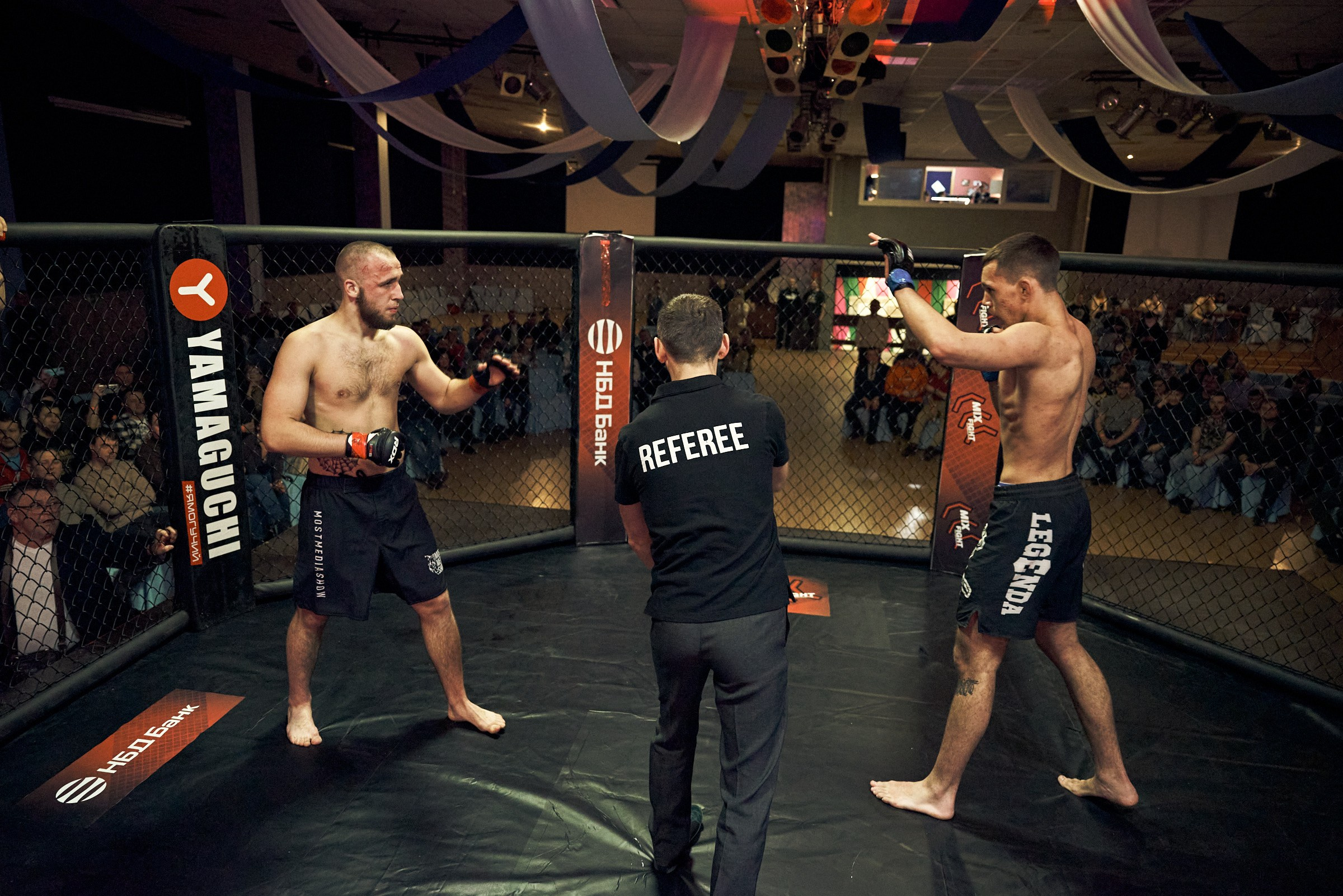 Бои. Маляревич Дмитрий свадебный фотограф