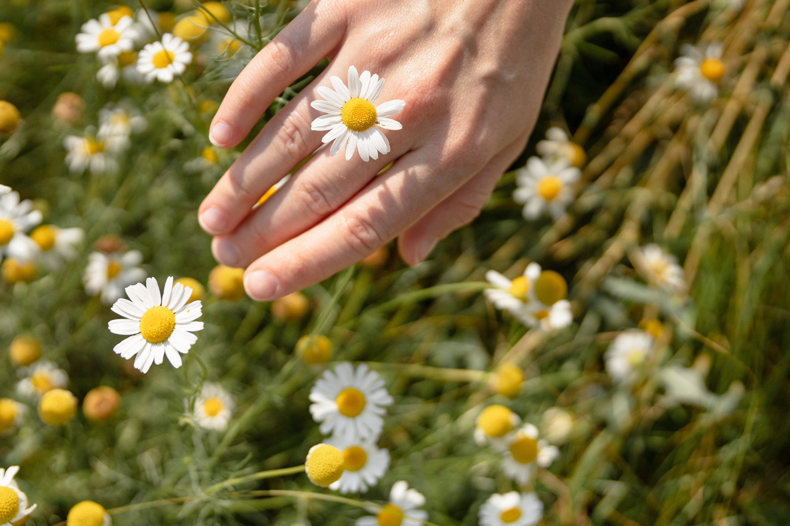 Встретились, влюбились, навсегда. Нина и Женя. Свадебный и семейный фотограф в Магнитогорске Катя Буряк