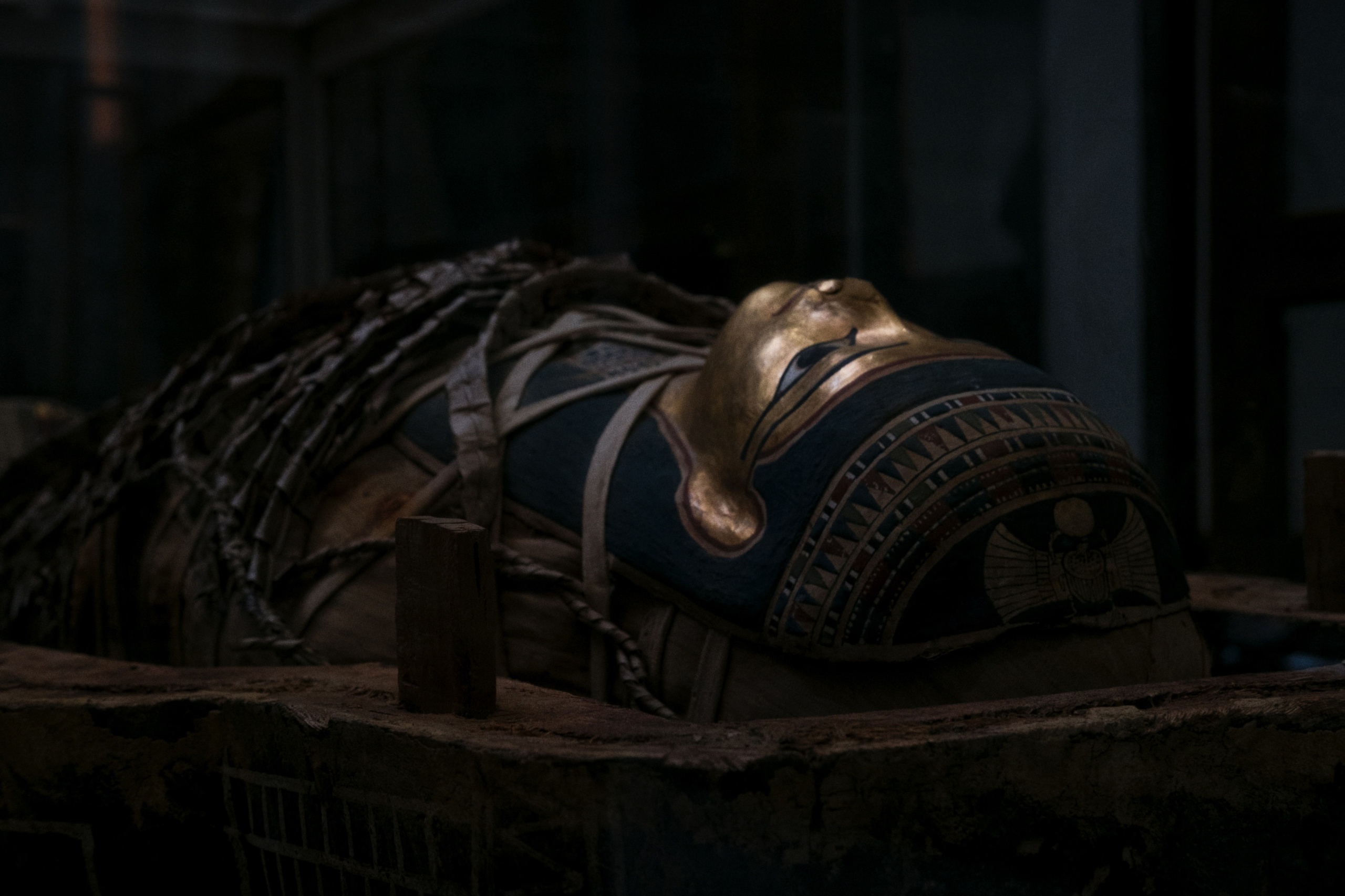 Archaeological Museum / Cairo, Egypt AW25. Фотограф Юрин Евгений