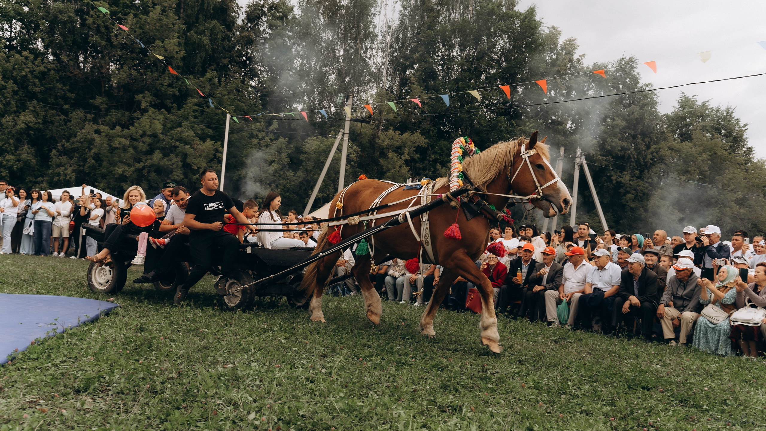День Коня. Алиса Никитцова | Фотограф в Казани