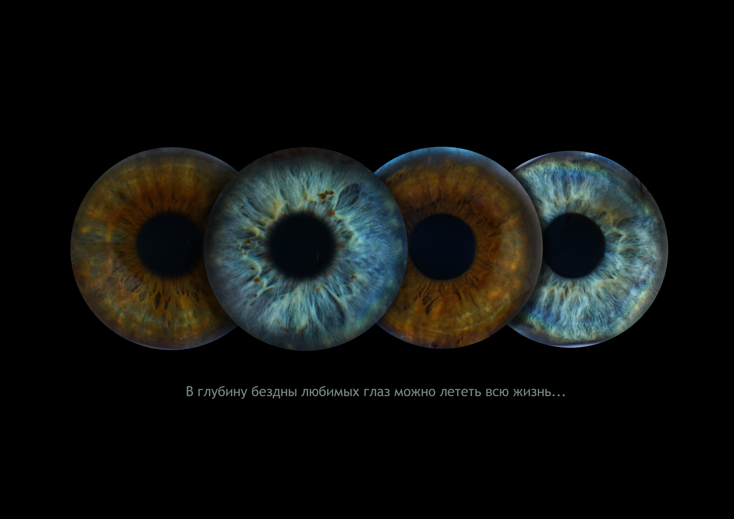 Екатерина 11022000. ShowLab