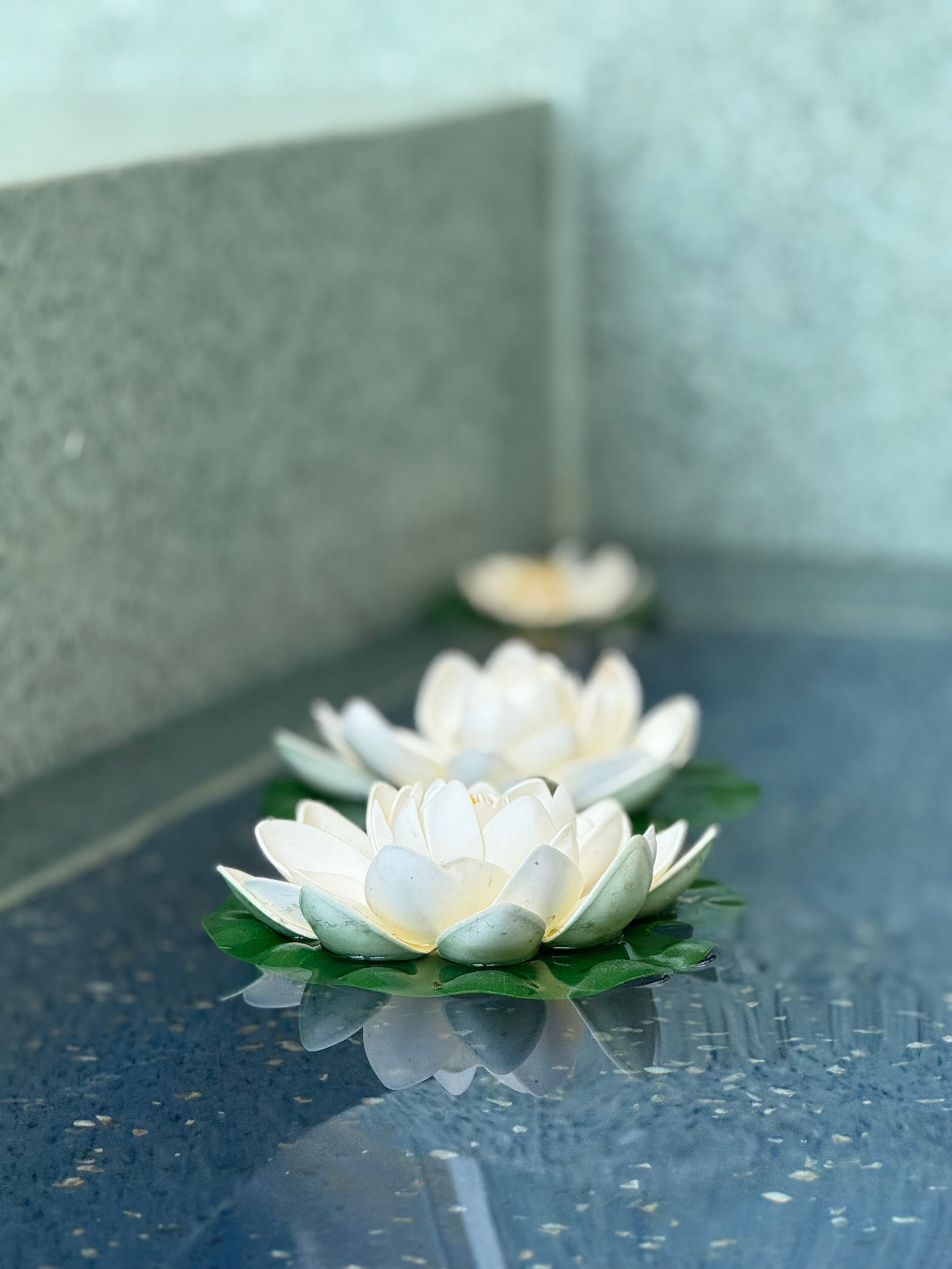 Фотограф Москва. Фотограф и художник в Москве Евгения Нюнина