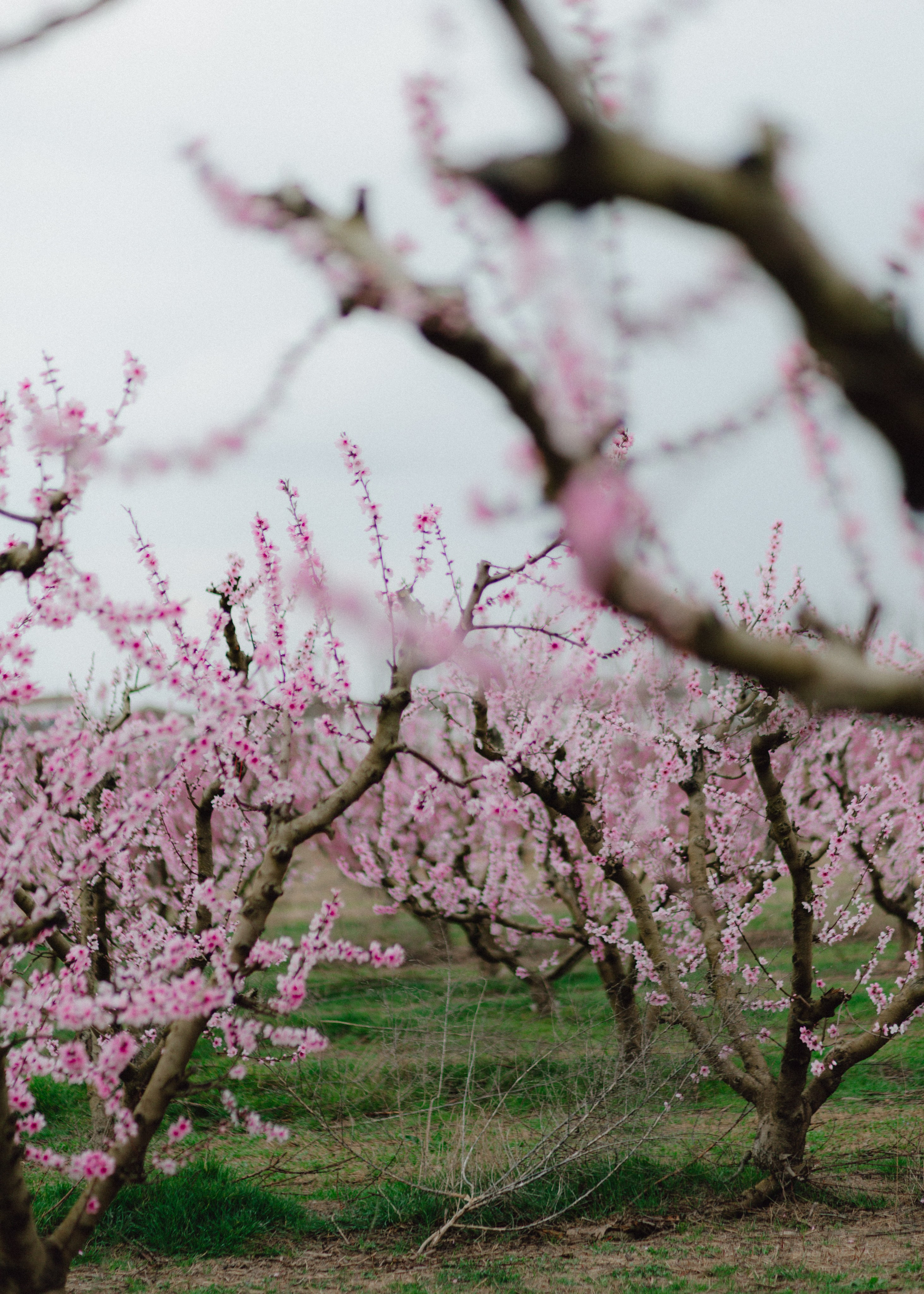 Sasha & Anton. Barbara Isaeva
