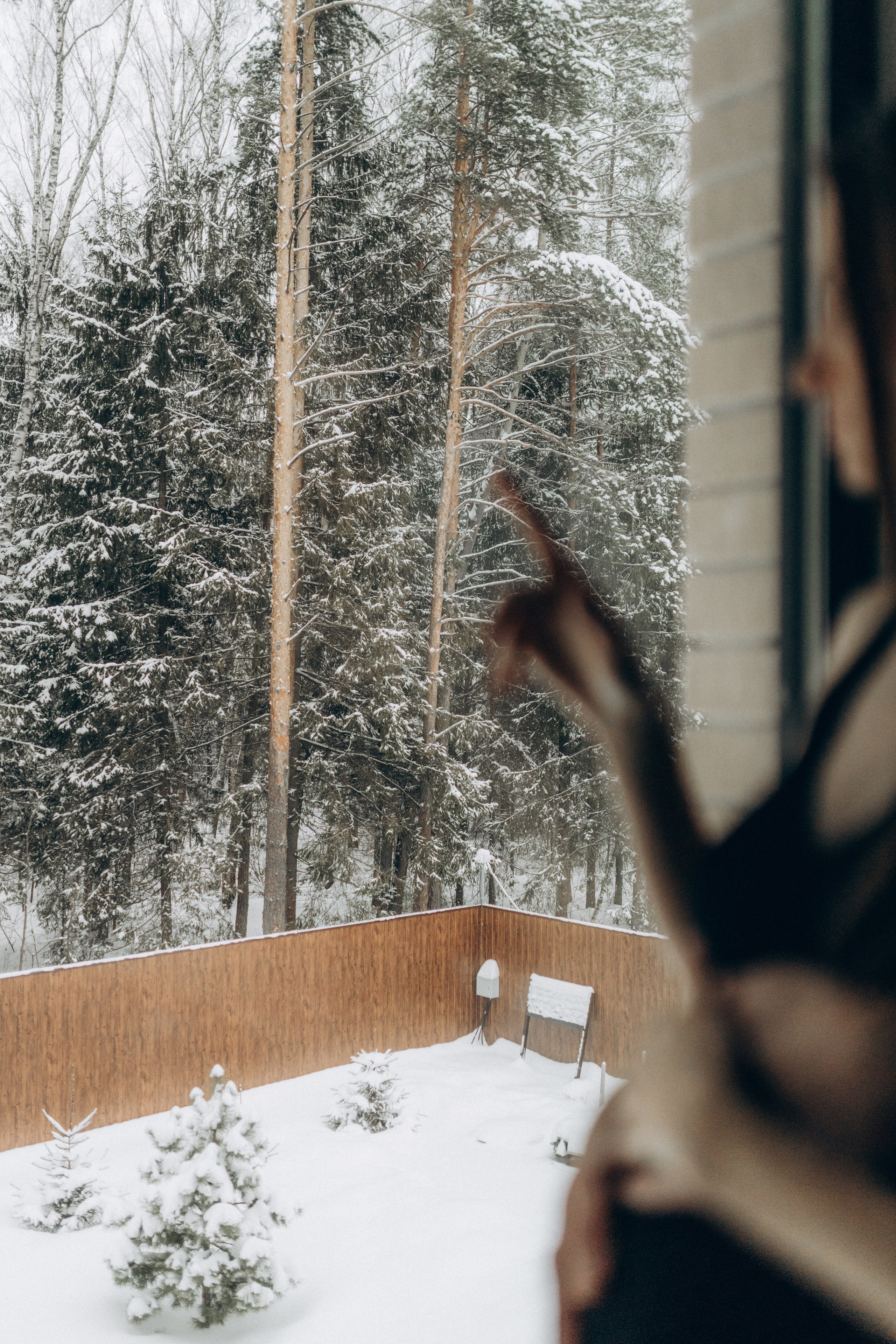 Евгения & Денис. Беременность. Фотограф НОГИНСК, Москва, Анастасия Белая