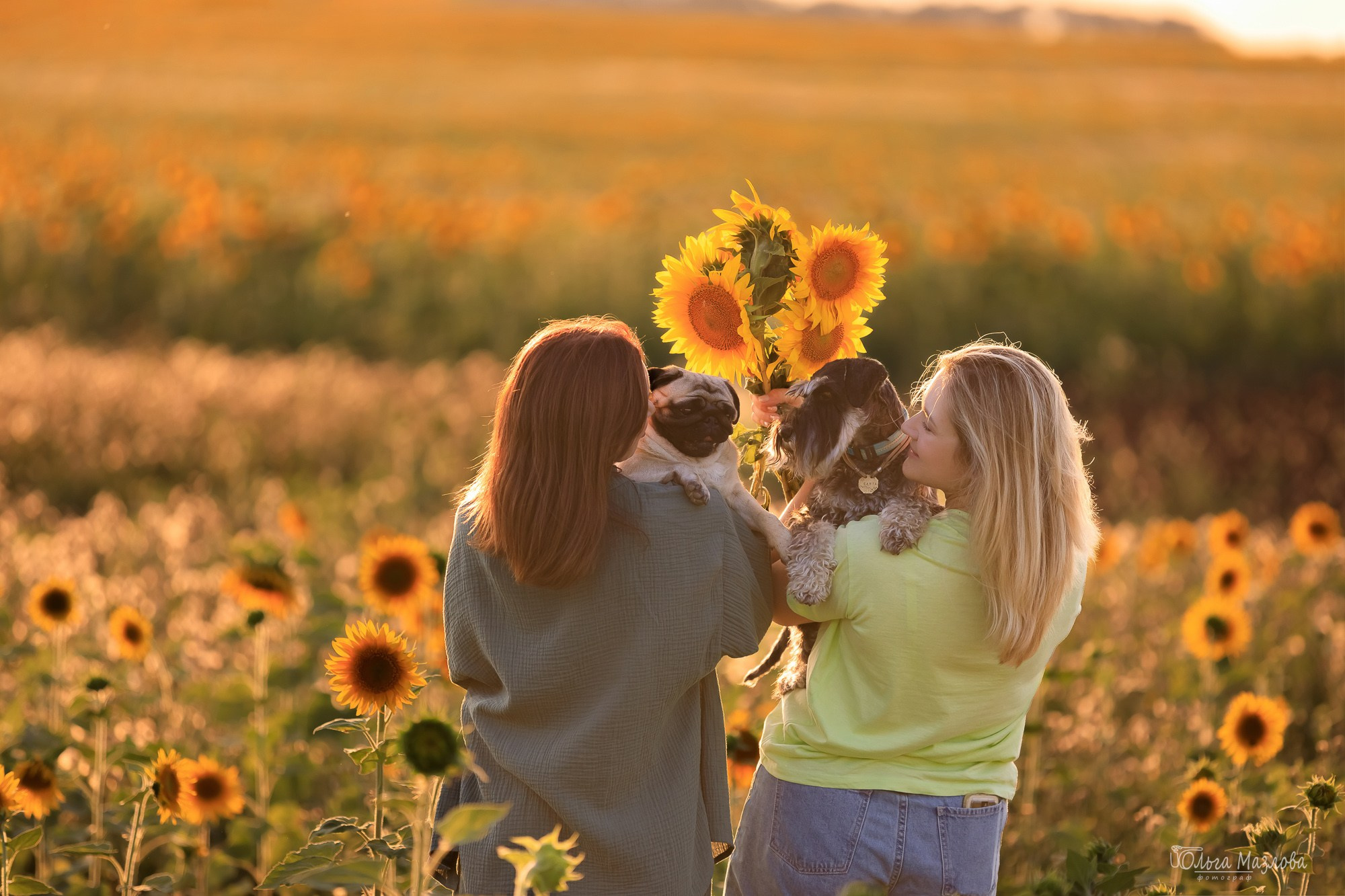 Фотосессия с питомцами. Фотограф в Саратове Ольга Мазлова