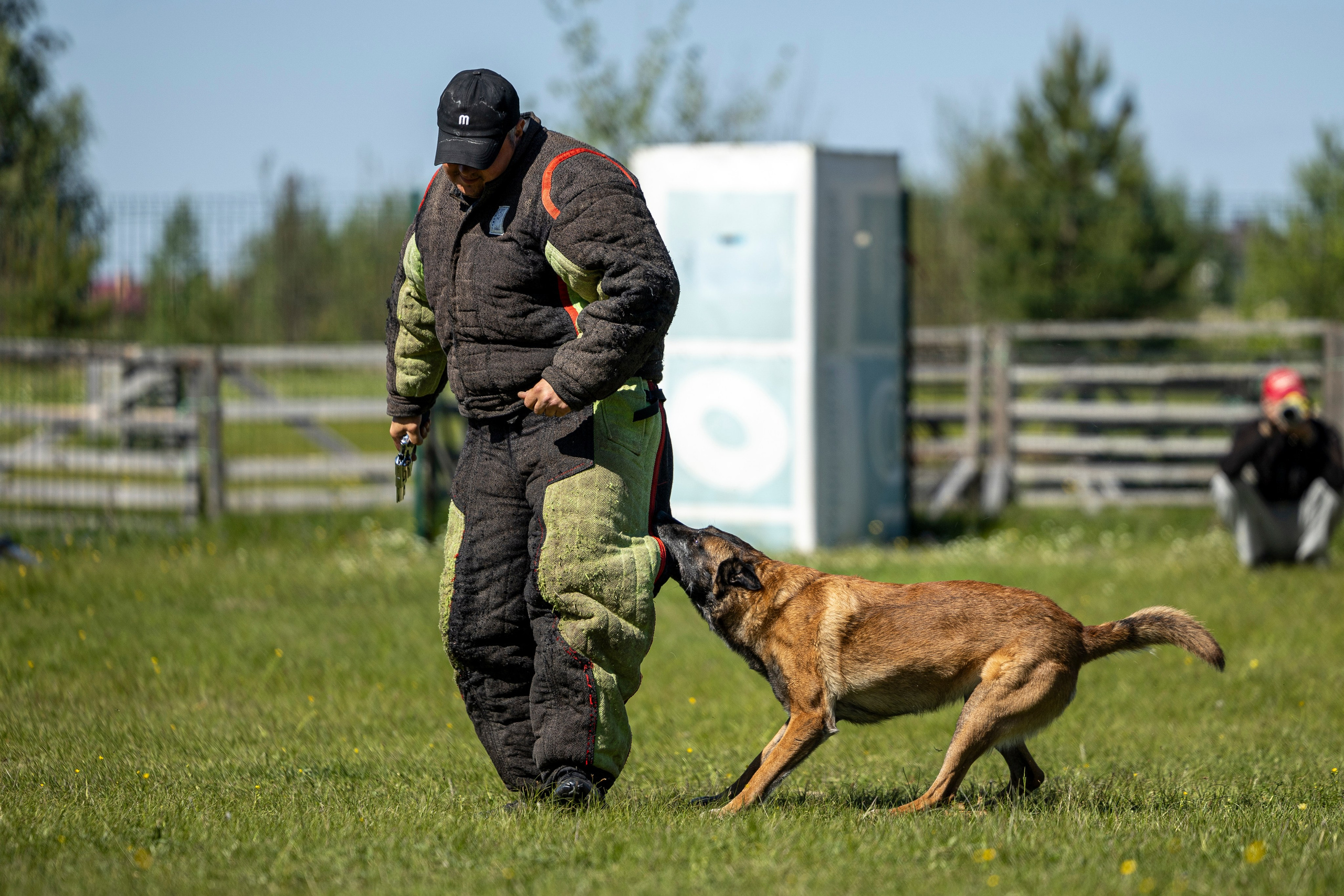 Испытания по мондьорингу в Нижнем Новгороде. Фотограф-анималист Анна Маринич