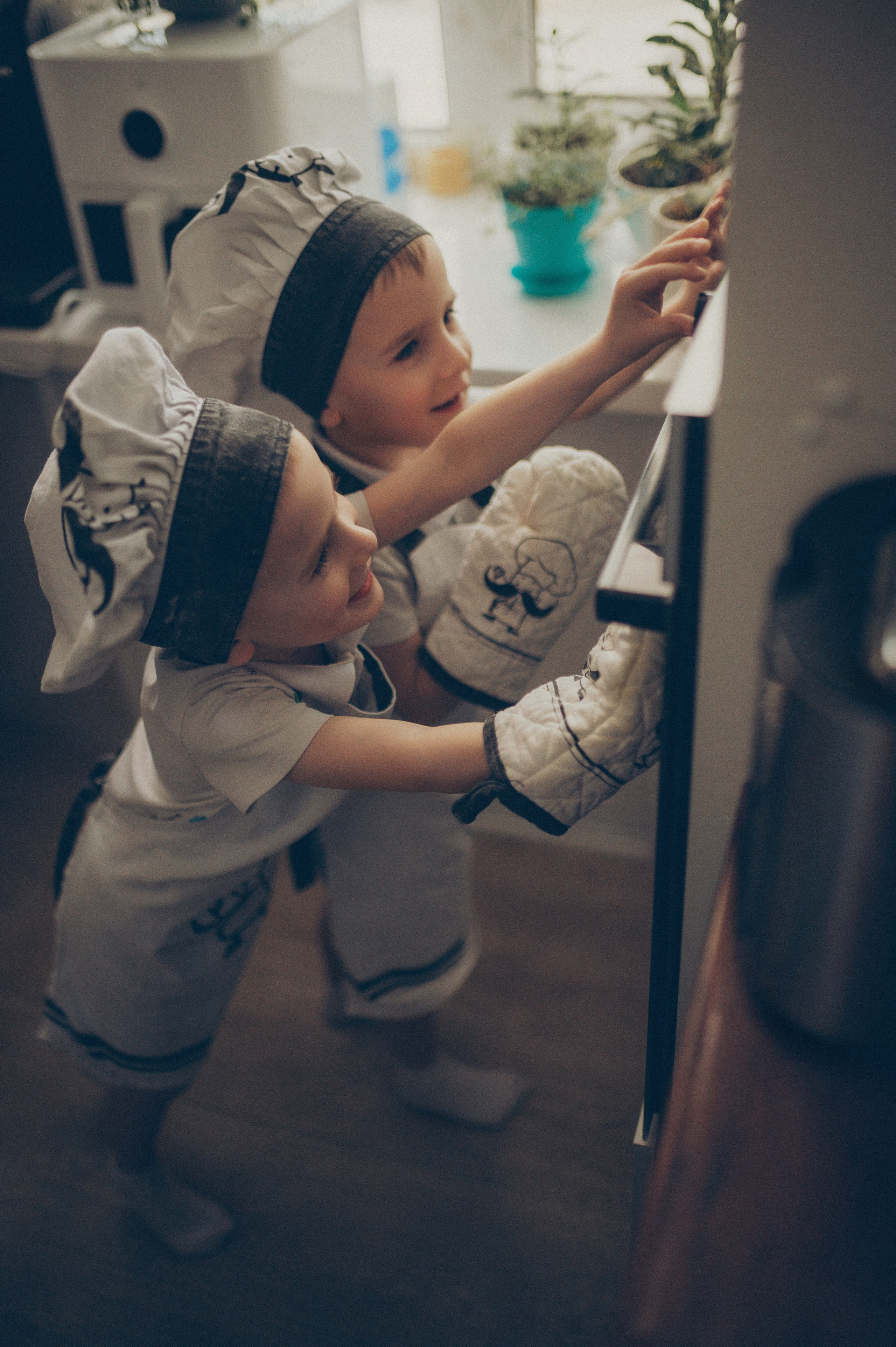 Поворята Миша и Тимофей (домашняя). Фотограф, г. Лесной Свердловской области