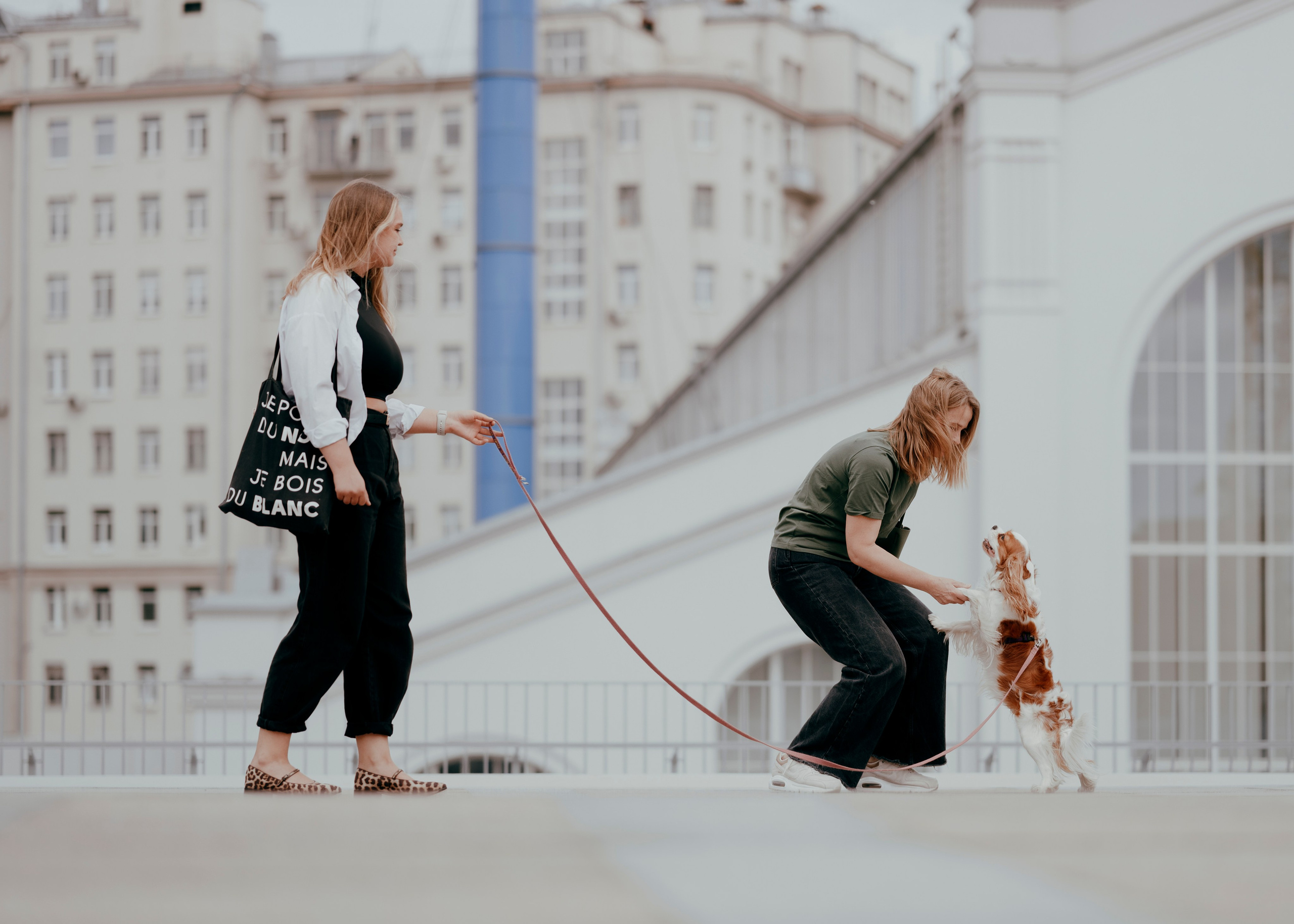 Дольче. Фотограф- анималист Александра Матвеева