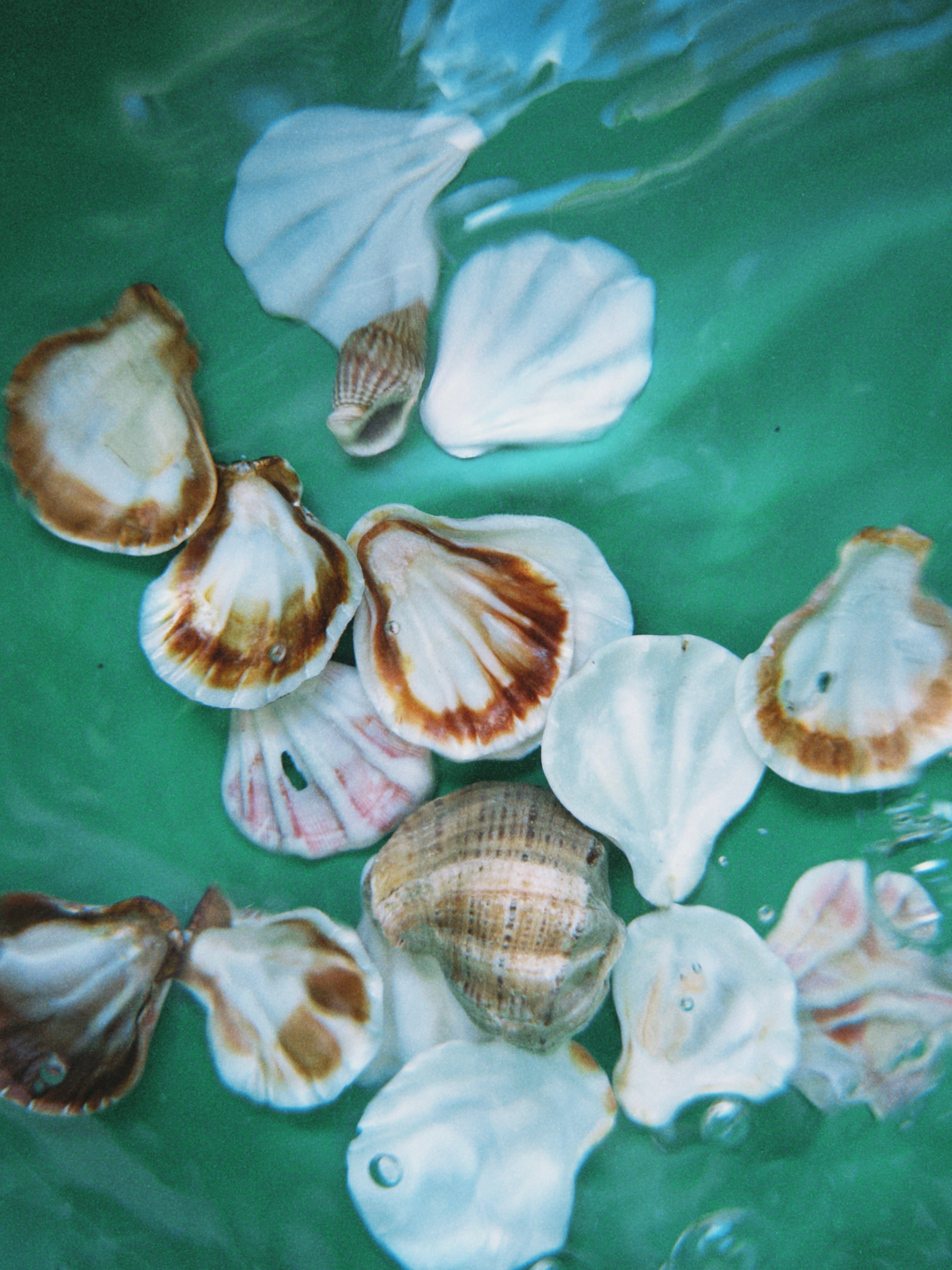 Предметная съёмка. Чувственный мобильный фотограф в Казани и Сочи Дьяченко Дарья